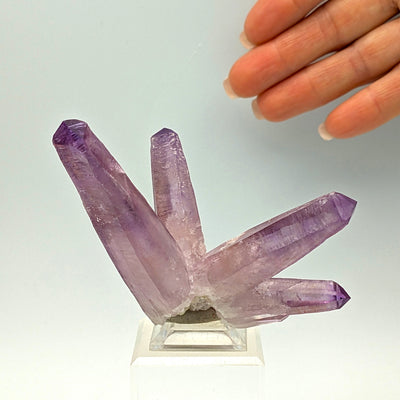 Side view of amethyst crystal cluster with hand for scale, Piedra Parada, Veracruz, Mexico