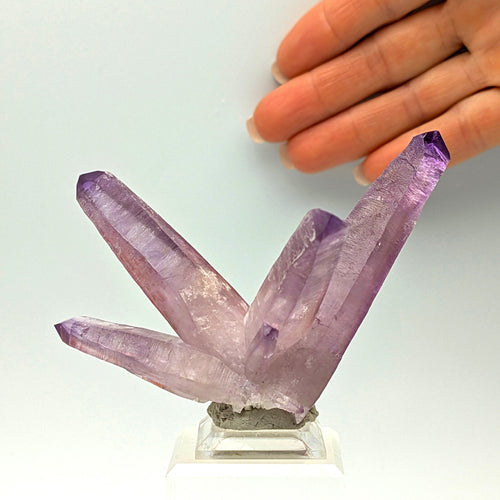 AMETHYST – Long Violet-Pink Crystals on Matrix, Piedra Parada, Veracruz, Mexico