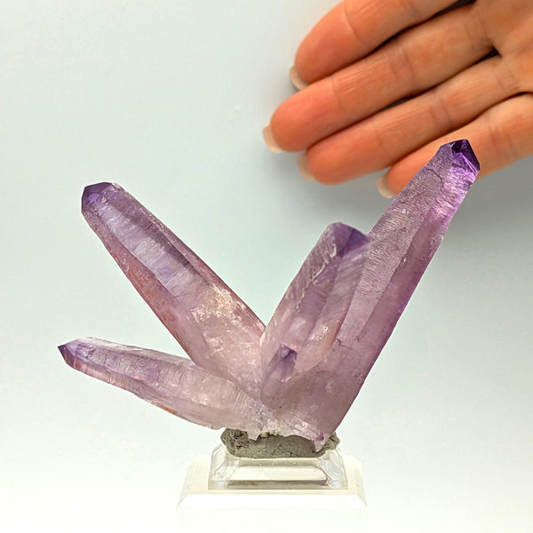 AMETHYST – Long Violet-Pink Crystals on Matrix, Piedra Parada, Veracruz, Mexico