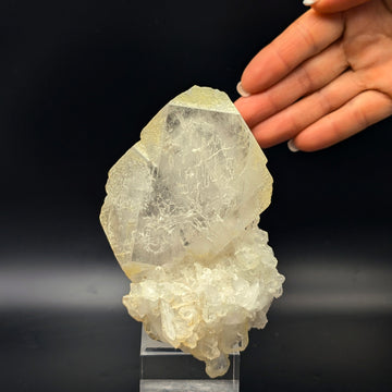 BARYTE – Huge White/Yellow Crystal Cluster, Chang Guang Chong, China
