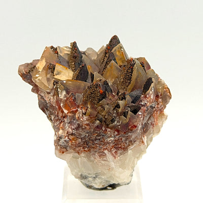 Red and black calcite scalenohedra cluster mounted on display stand, Santa Eulalia, Mexico