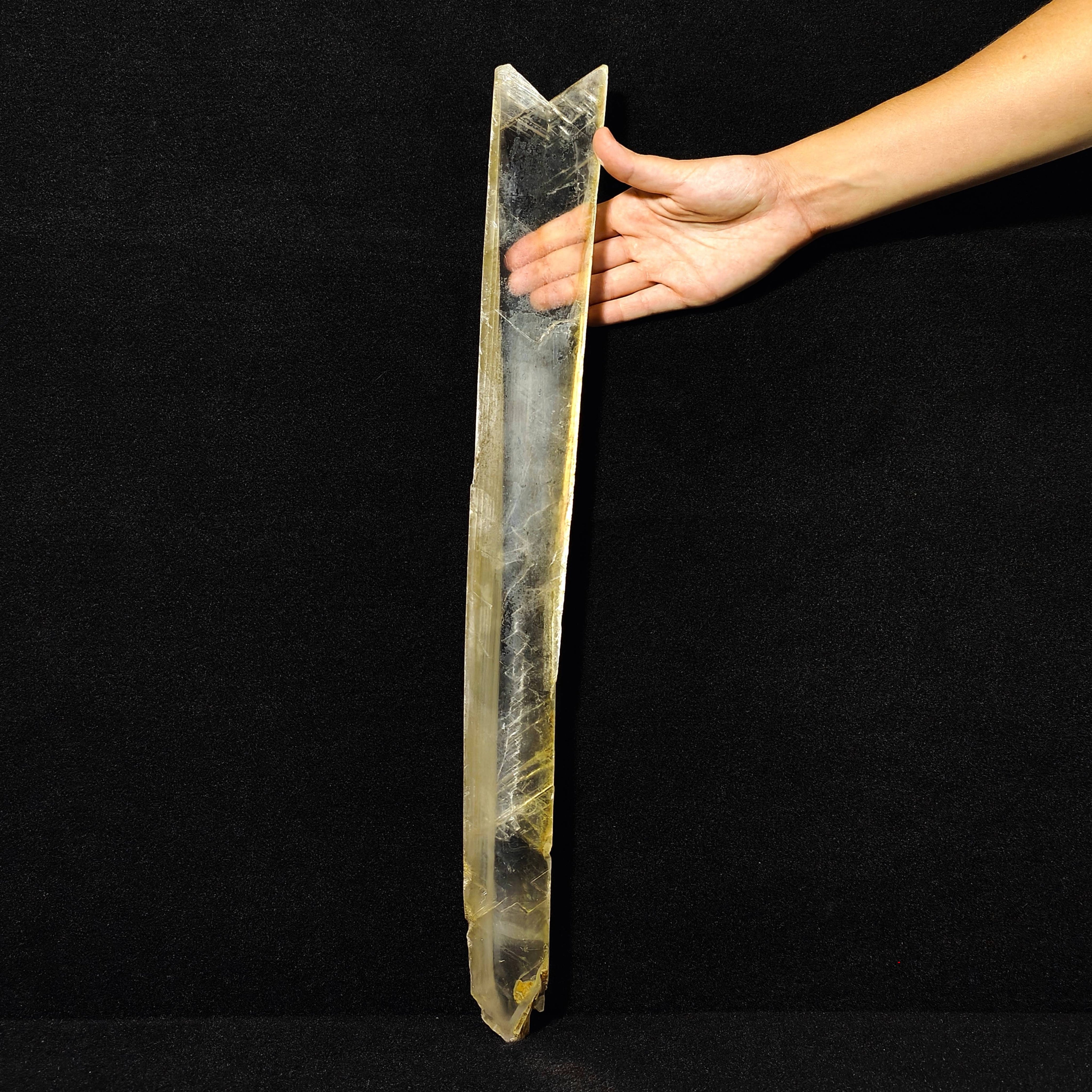 GYPSUM "SWORD" – Giant Natural Swallow-Tail Crystal (54.5 cm), Italy