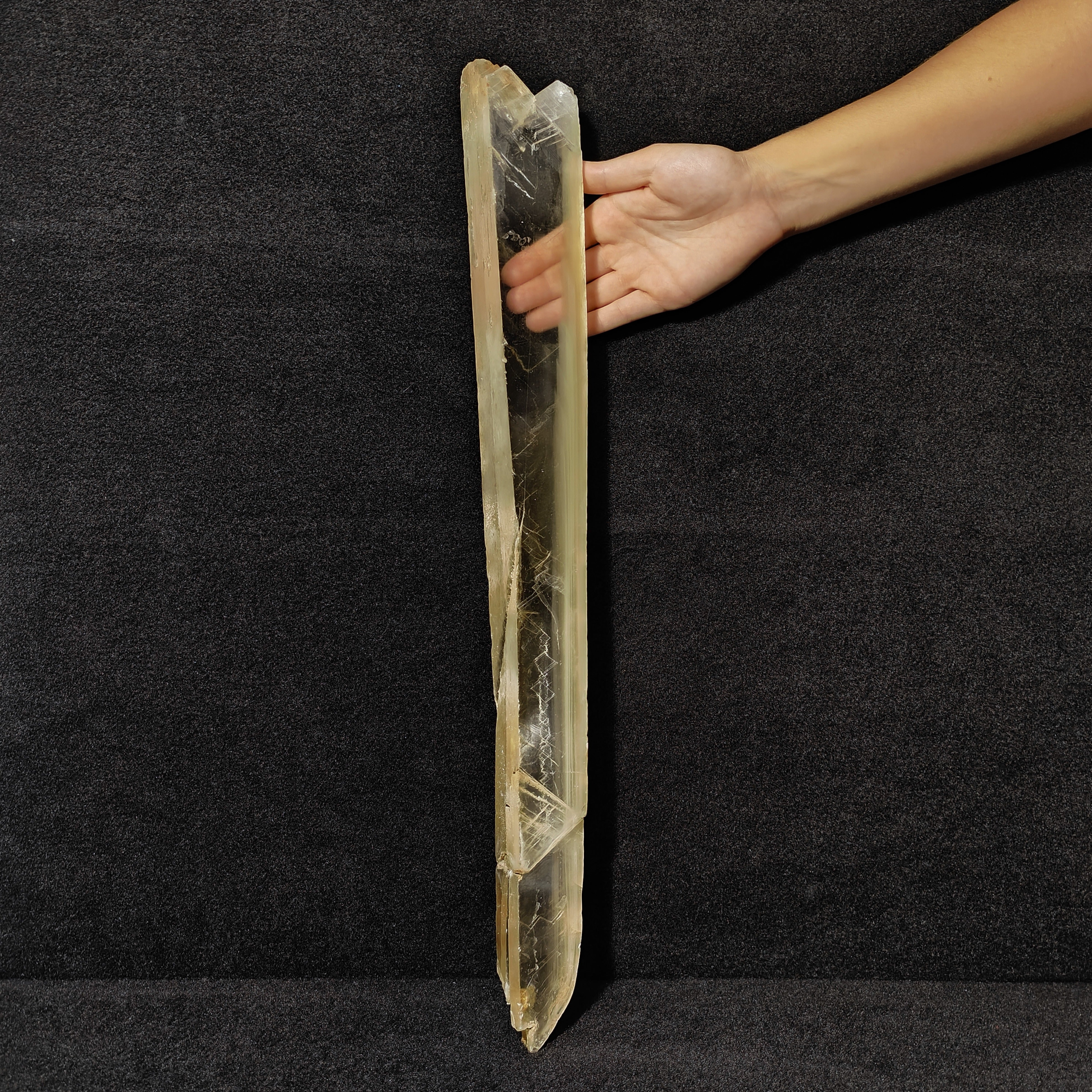 GYPSUM "SWORD" – Giant Natural Swallow-Tail Crystal (54.5 cm), Italy