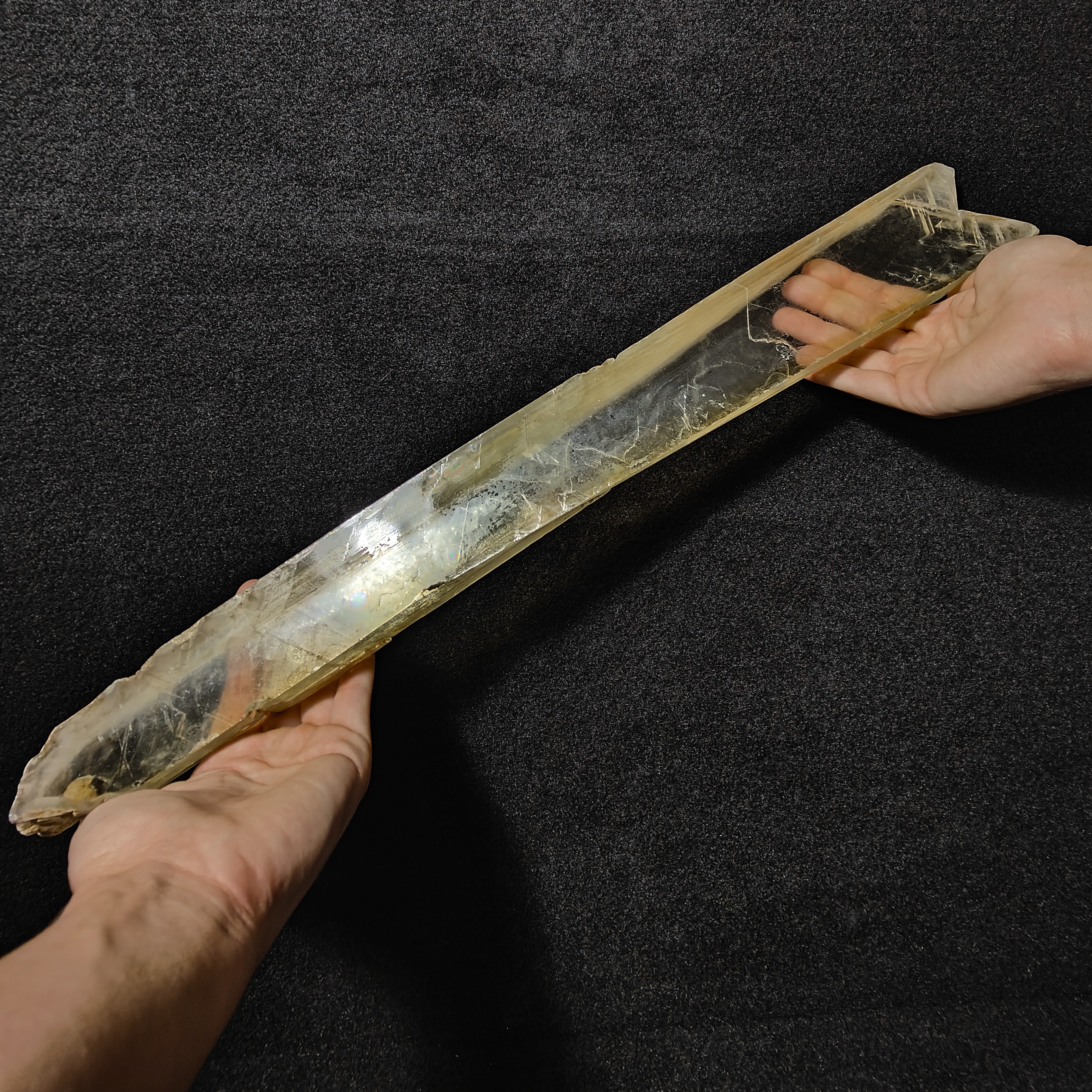 GYPSUM "SWORD" – Giant Natural Swallow-Tail Crystal (54.5 cm), Italy
