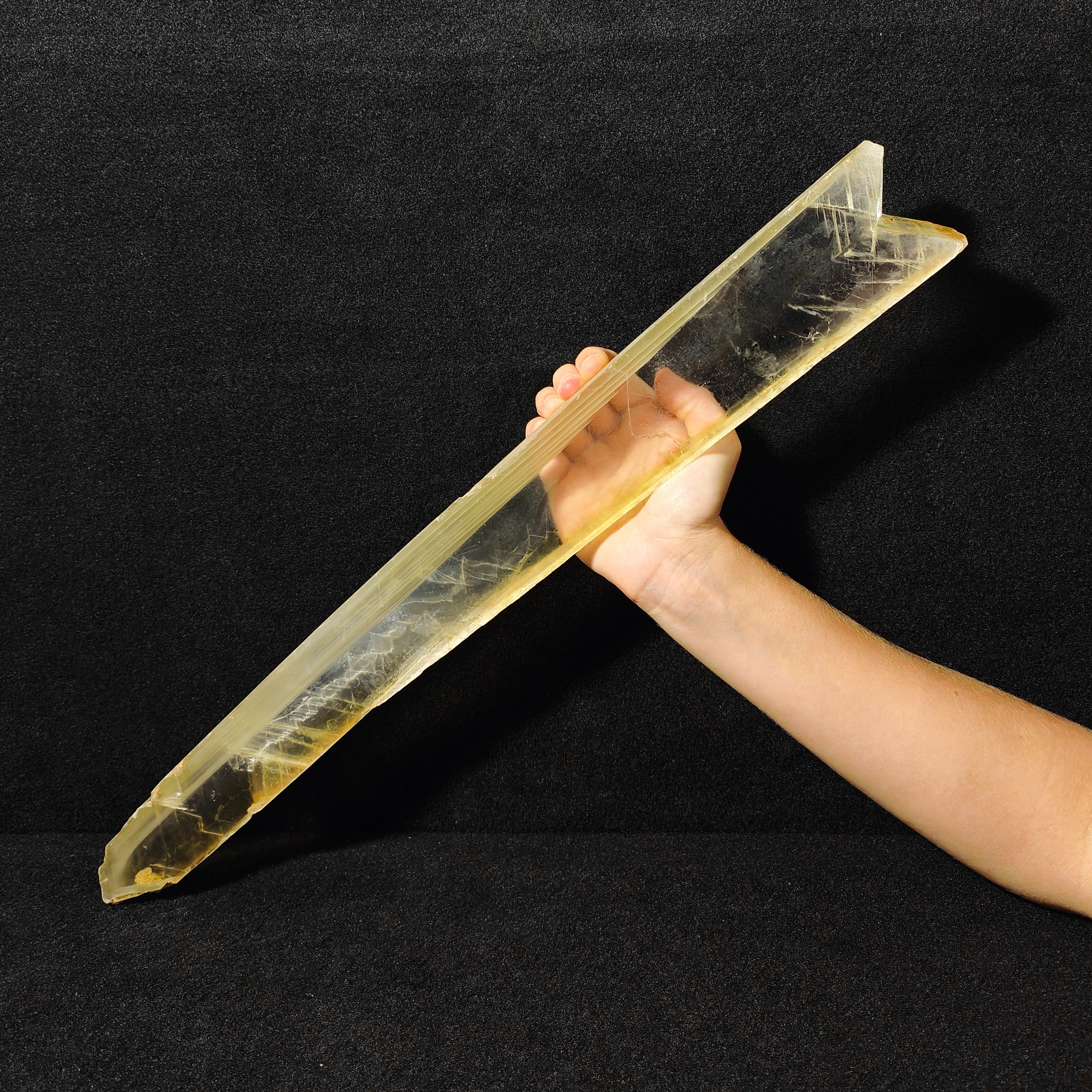 GYPSUM "SWORD" – Giant Natural Swallow-Tail Crystal (54.5 cm), Italy