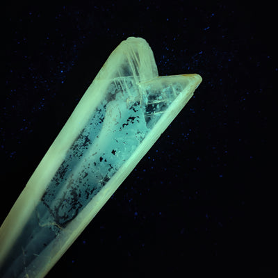 Gypsum crystal tip glowing blue-green under UV light, Fiorini Quarry, San Lazzaro di Savena