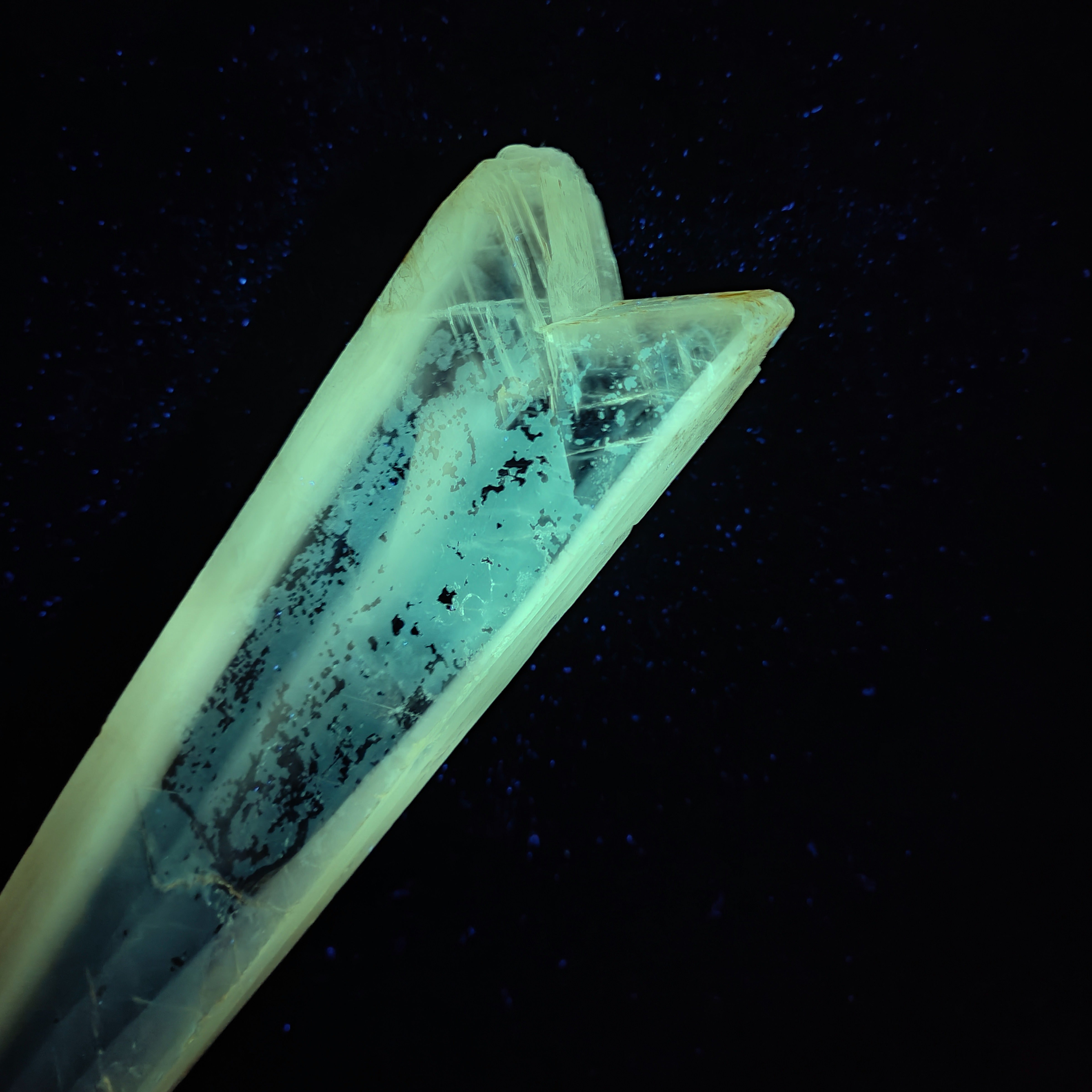 GYPSUM "SWORD" – Giant Natural Swallow-Tail Crystal (54.5 cm), Italy