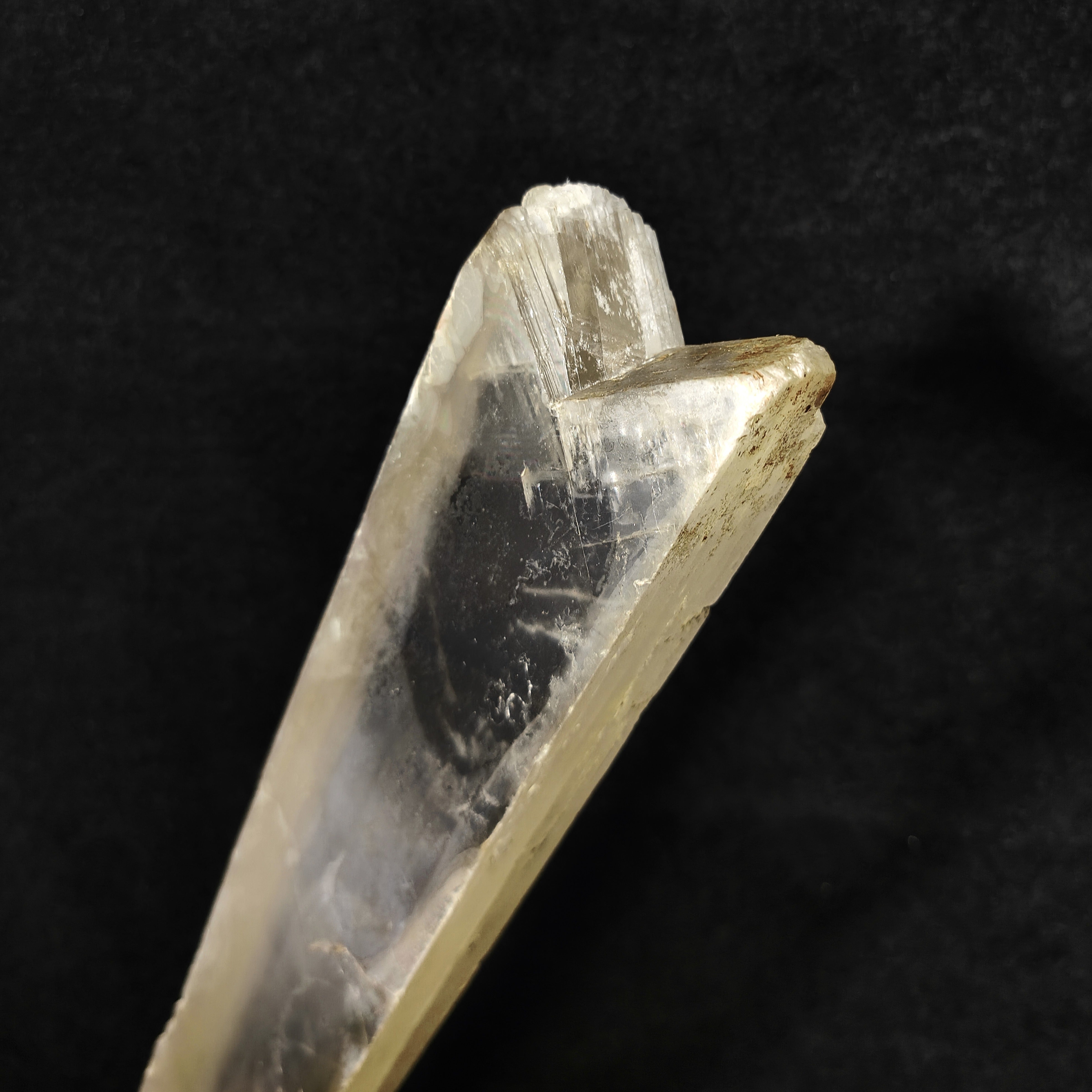 GYPSUM "SWORD" – Giant Natural Swallow-Tail Crystal (54.5 cm), Italy