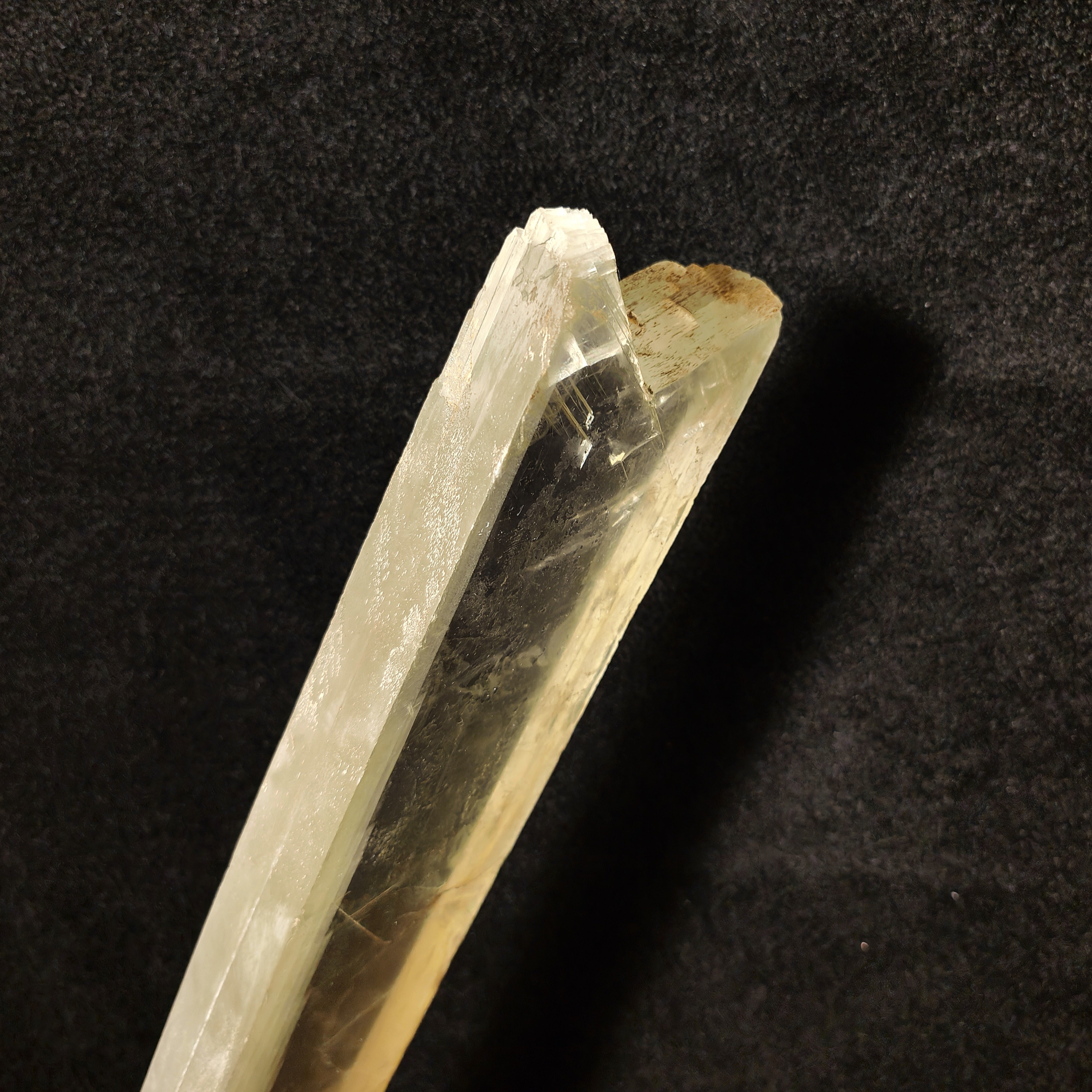 GYPSUM "SWORD" – Giant Natural Swallow-Tail Crystal (54.5 cm), Italy