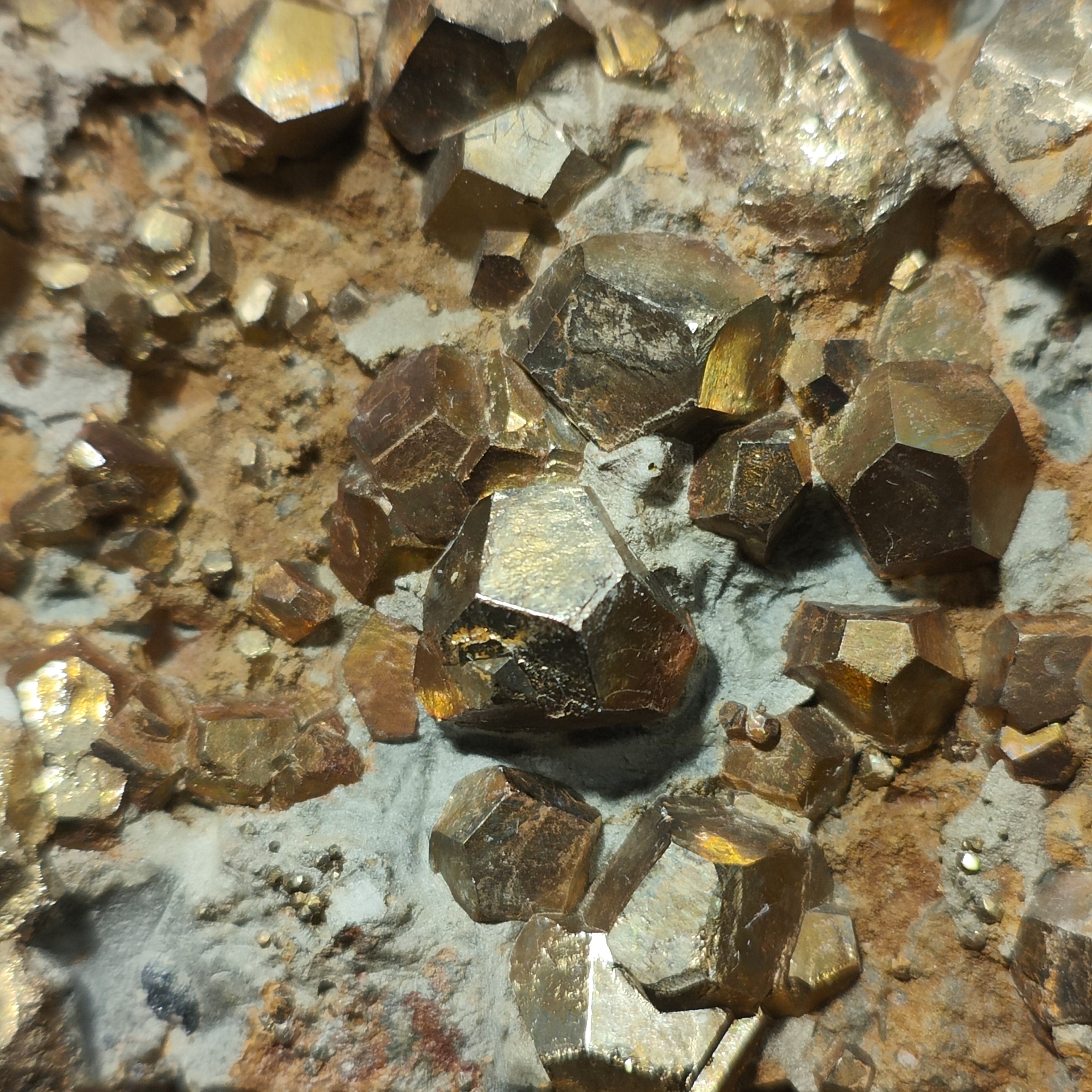 PYRITE – Hundreds of Golden Pyritohedron Crystals on Matrix, Elba Island, Italy