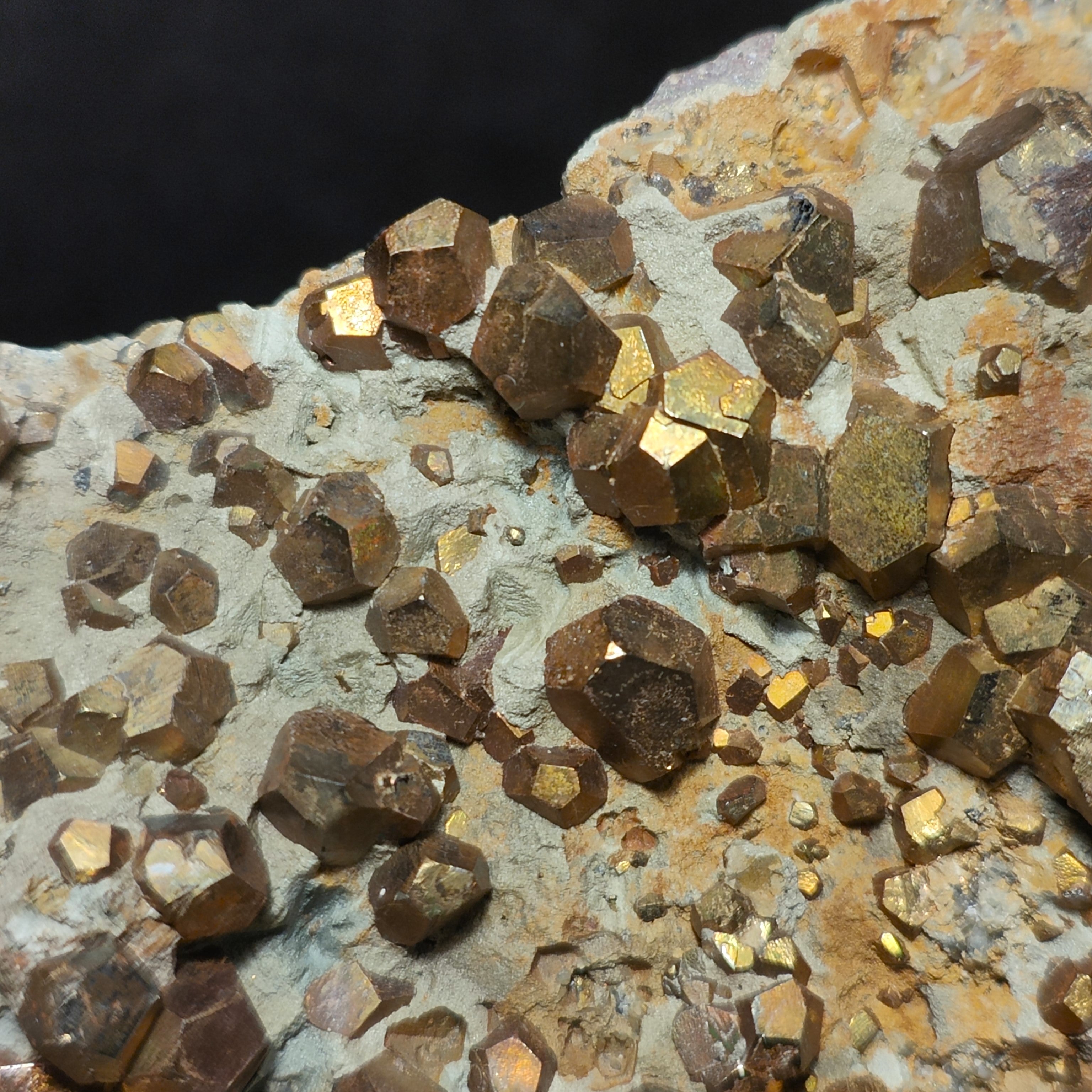PYRITE – Hundreds of Golden Pyritohedron Crystals on Matrix, Elba Island, Italy