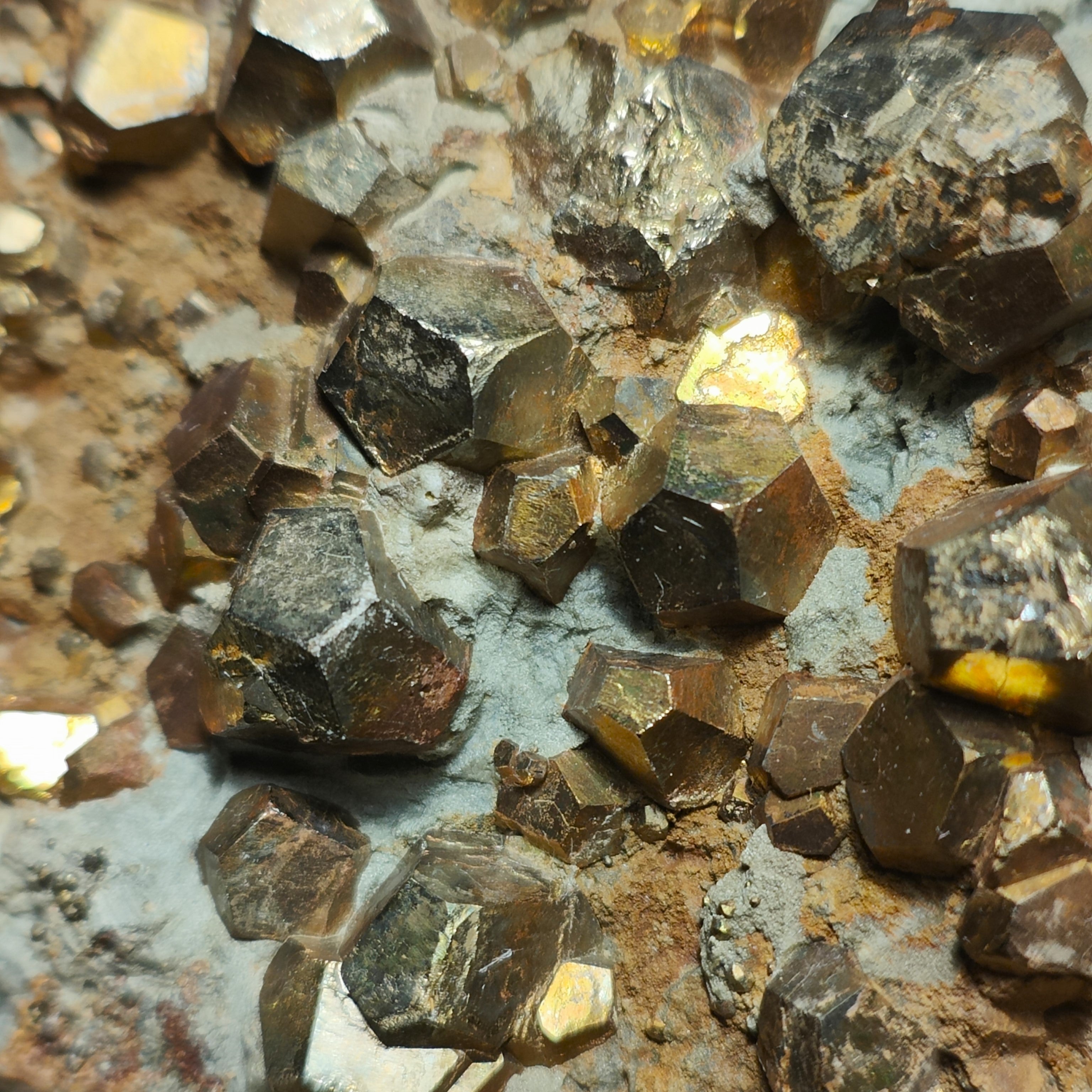 PYRITE – Hundreds of Golden Pyritohedron Crystals on Matrix, Elba Island, Italy