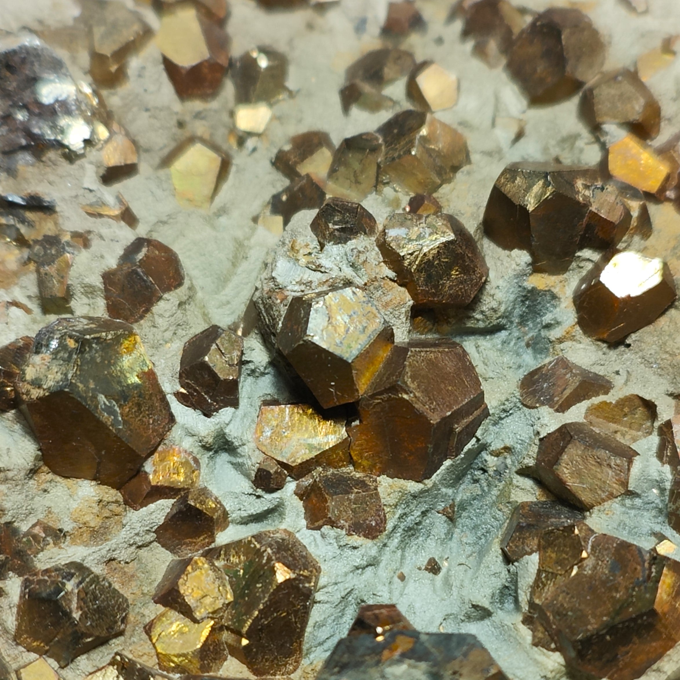 PYRITE – Hundreds of Golden Pyritohedron Crystals on Matrix, Elba Island, Italy