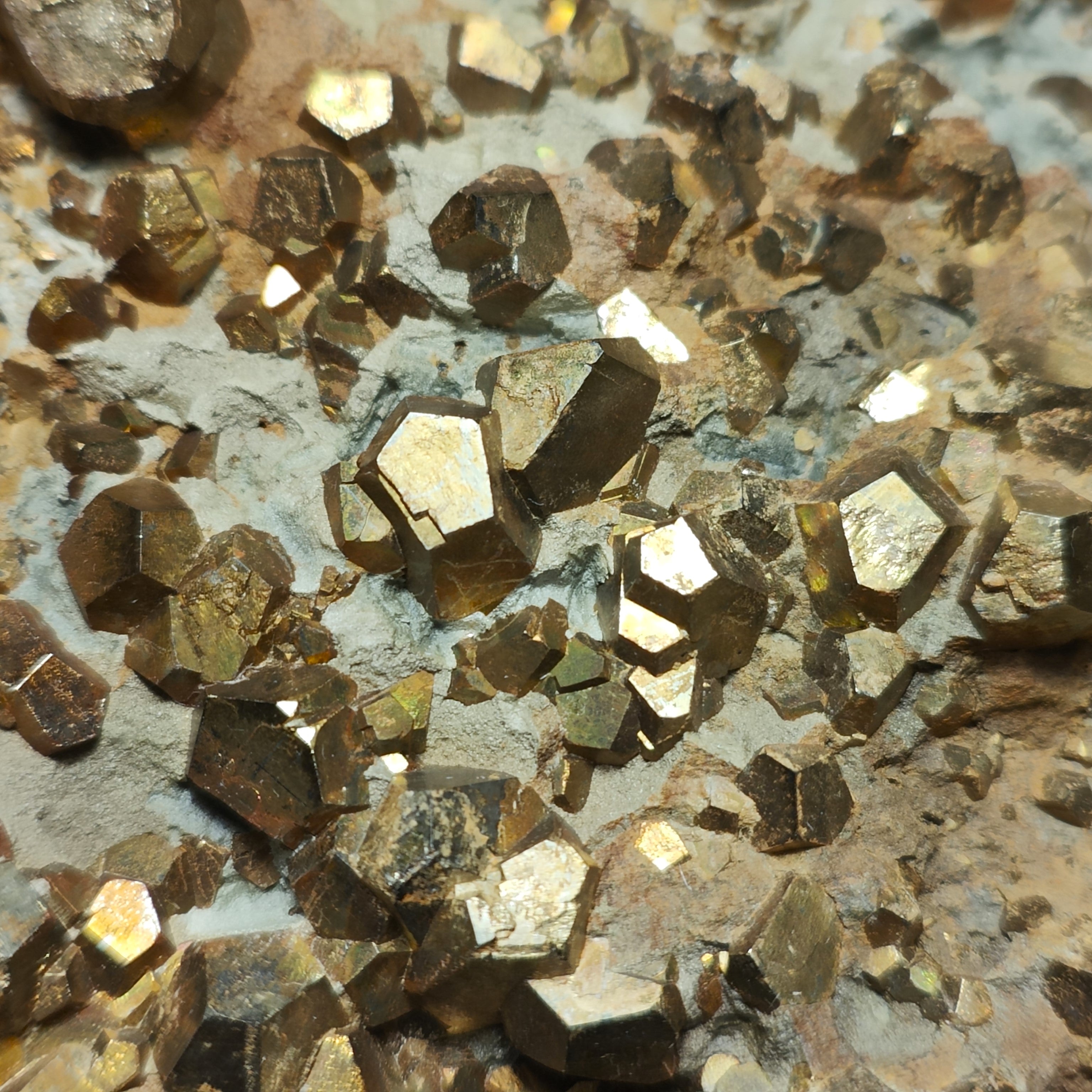 PYRITE – Hundreds of Golden Pyritohedron Crystals on Matrix, Elba Island, Italy