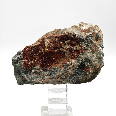 Full specimen of hessonite garnet on rodingite matrix from Bellecombe, Italy, mounted on stand