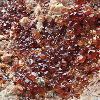 Detail of dodecahedral hessonite garnet crystals showing lustrous faces, Bellecombe