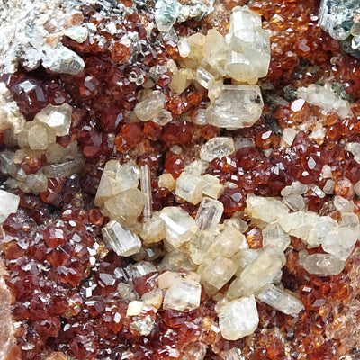 Hessonite garnet crystals intergrown with diopside crystals, Bellecombe, Aosta Valley