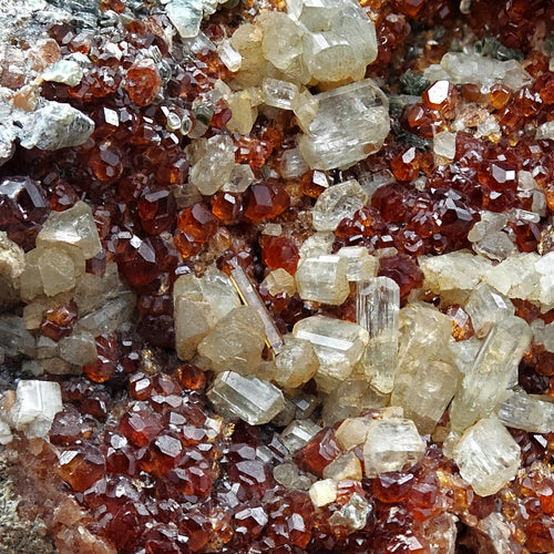 HESSONITE, CLINOCHLORE & DIOPSIDE – Red Alpine Garnet, Bellecombe, Italy