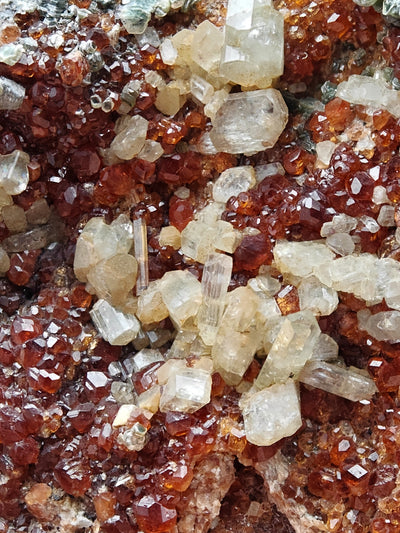 Diopside crystals among red hessonite garnet crystals, Bellecombe, Aosta Valley