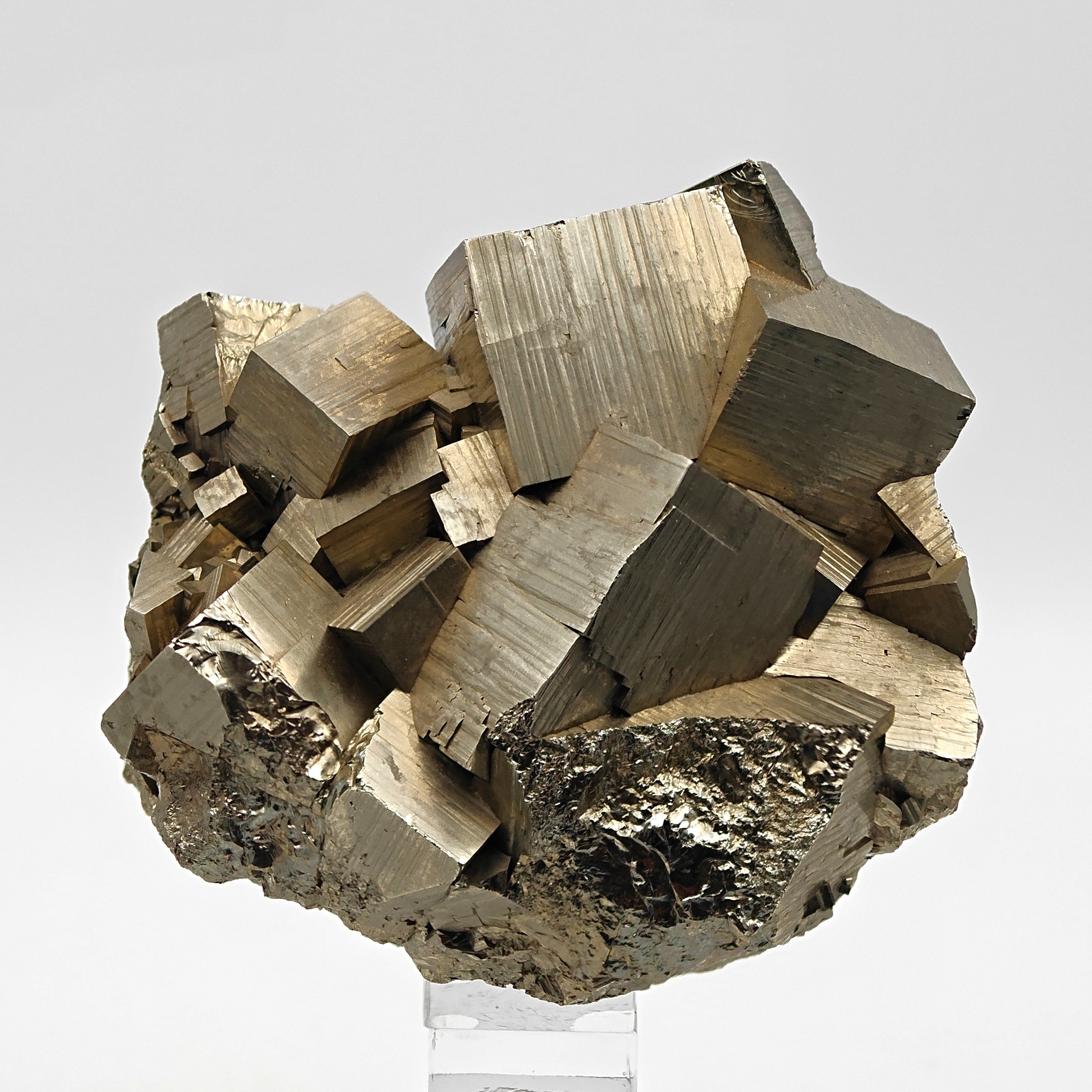 PYRITE – Lustrous Golden Cubic Crystals from Niccioleta Mine, Tuscany, Italy