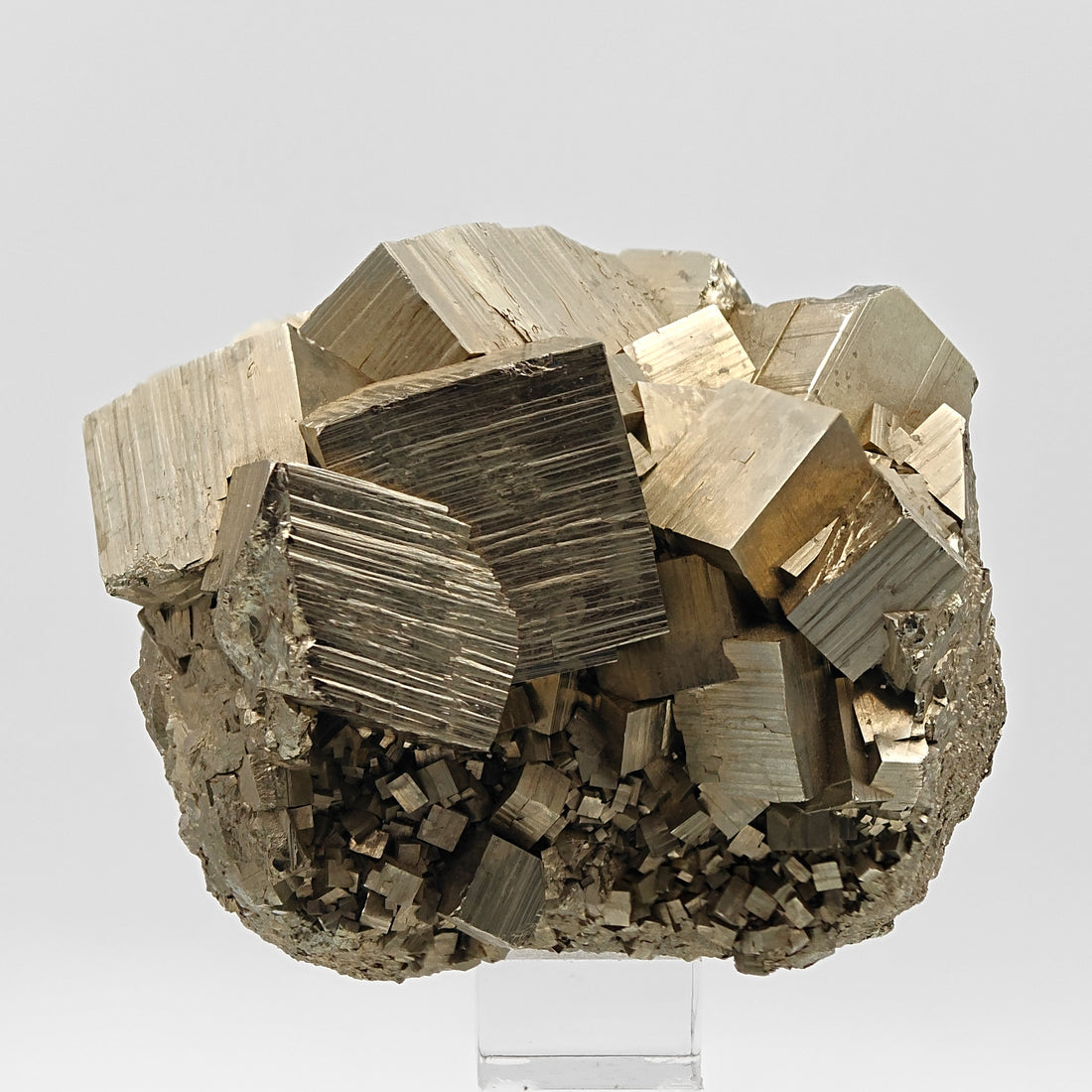 PYRITE – Lustrous Golden Cubic Crystals from Niccioleta Mine, Tuscany, Italy