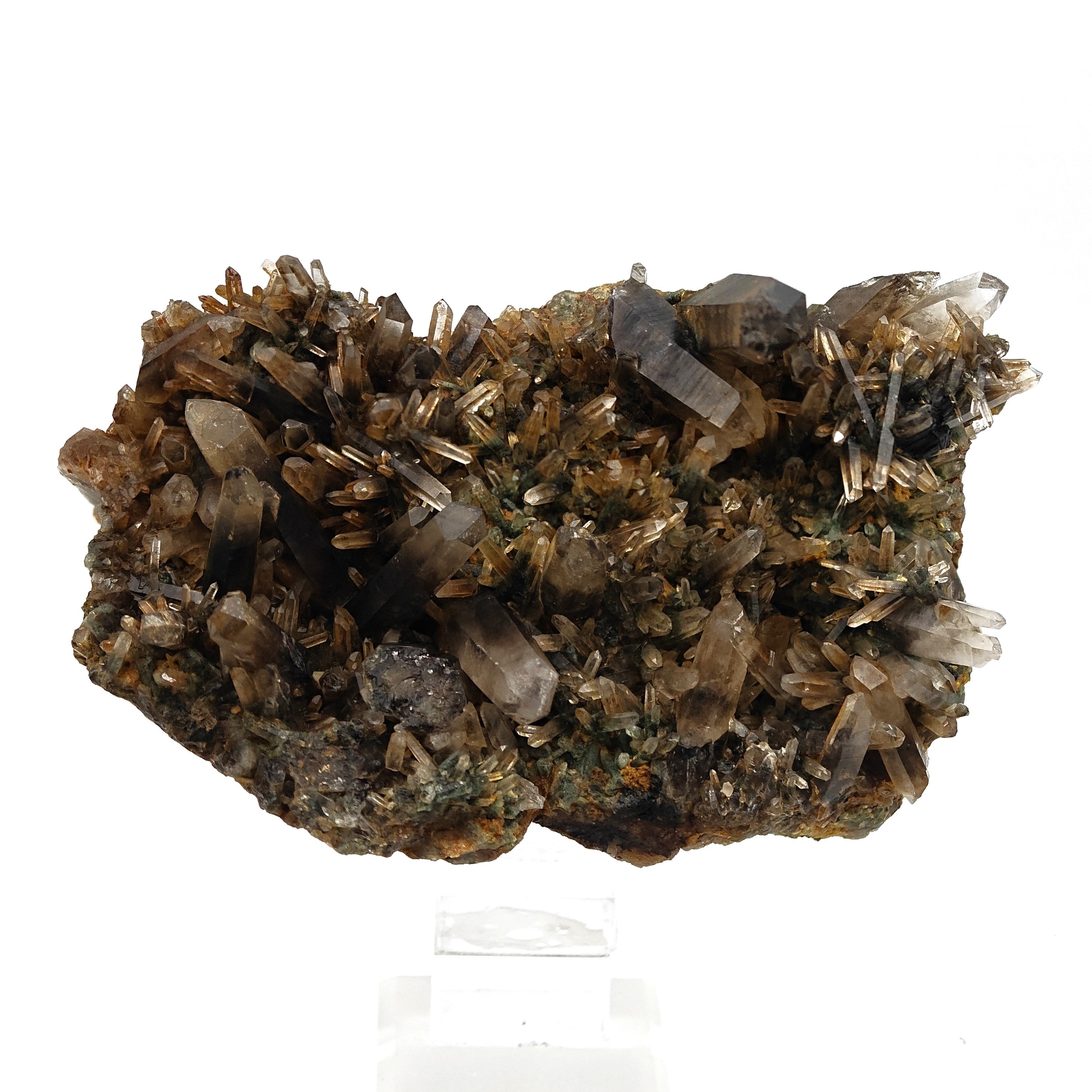 SMOKY QUARTZ – Rare Phantom Cluster with Green Chlorite, Russia