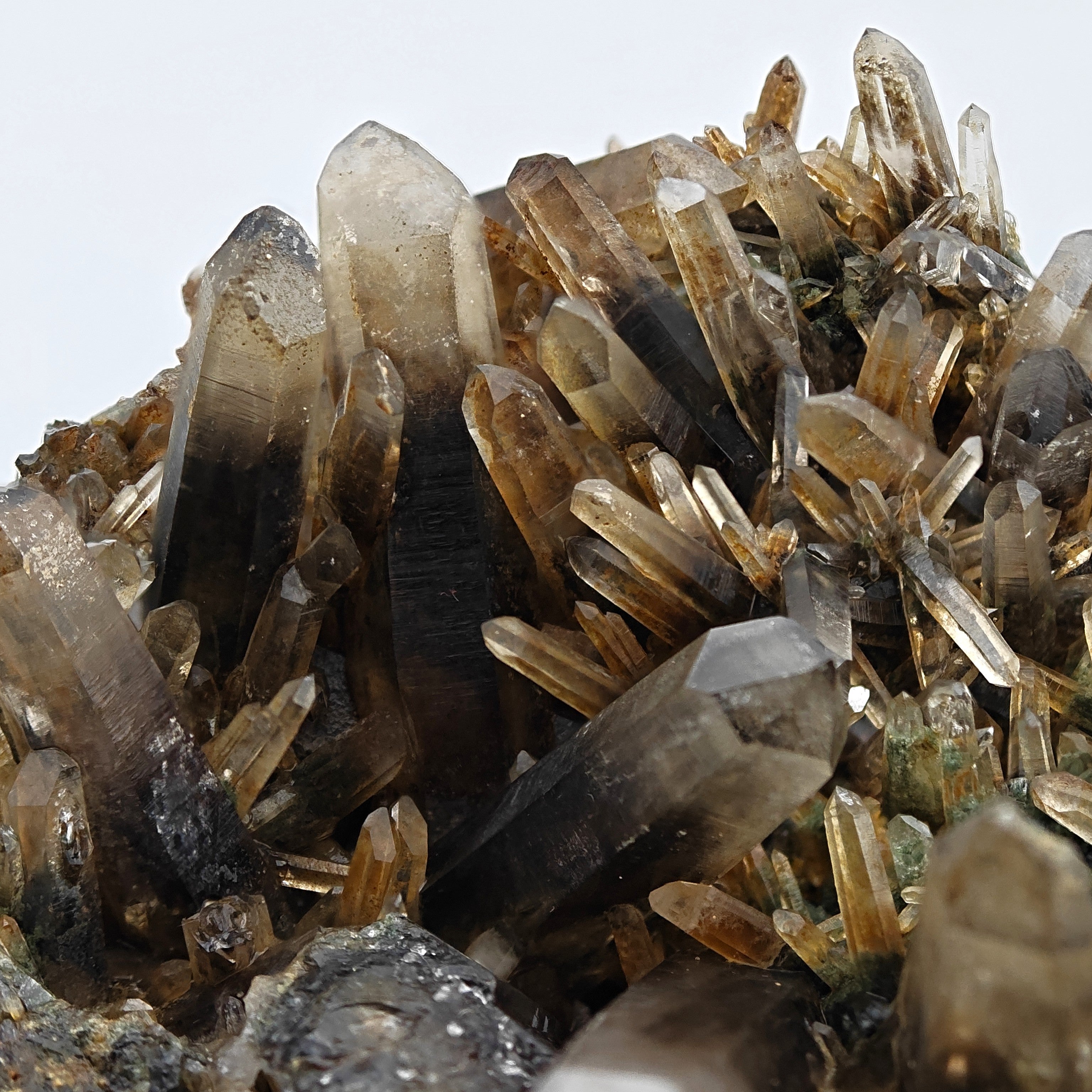 SMOKY QUARTZ – Rare Phantom Cluster with Green Chlorite, Russia