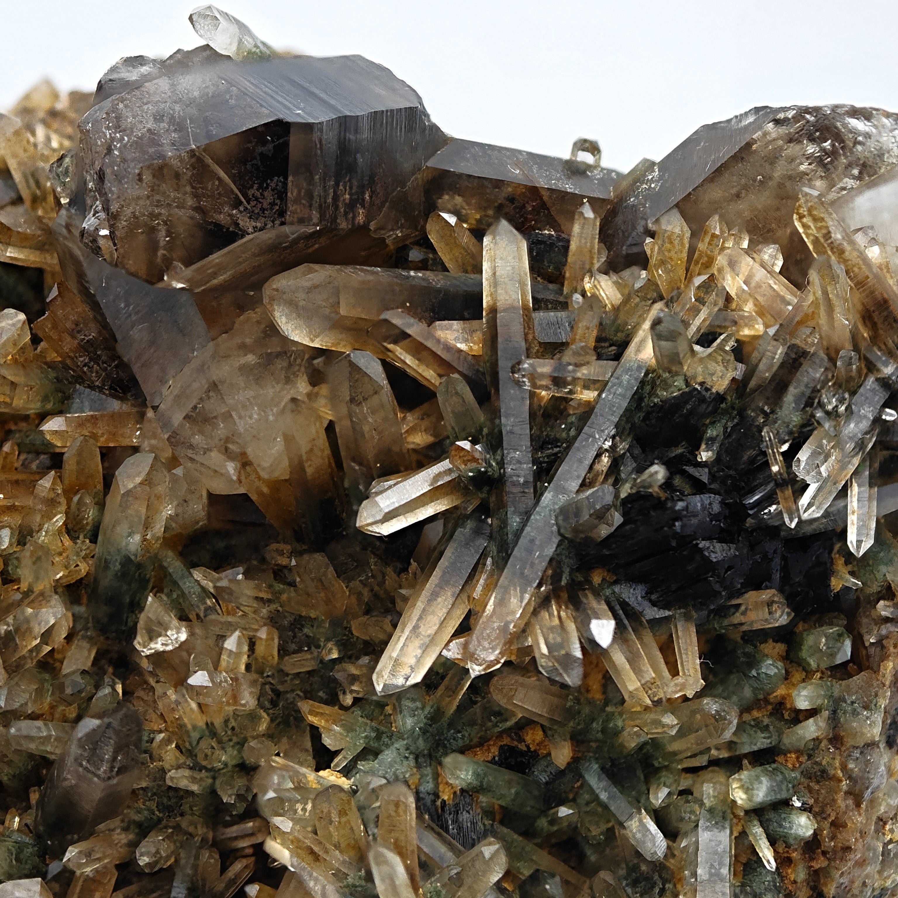 SMOKY QUARTZ – Rare Phantom Cluster with Green Chlorite, Russia