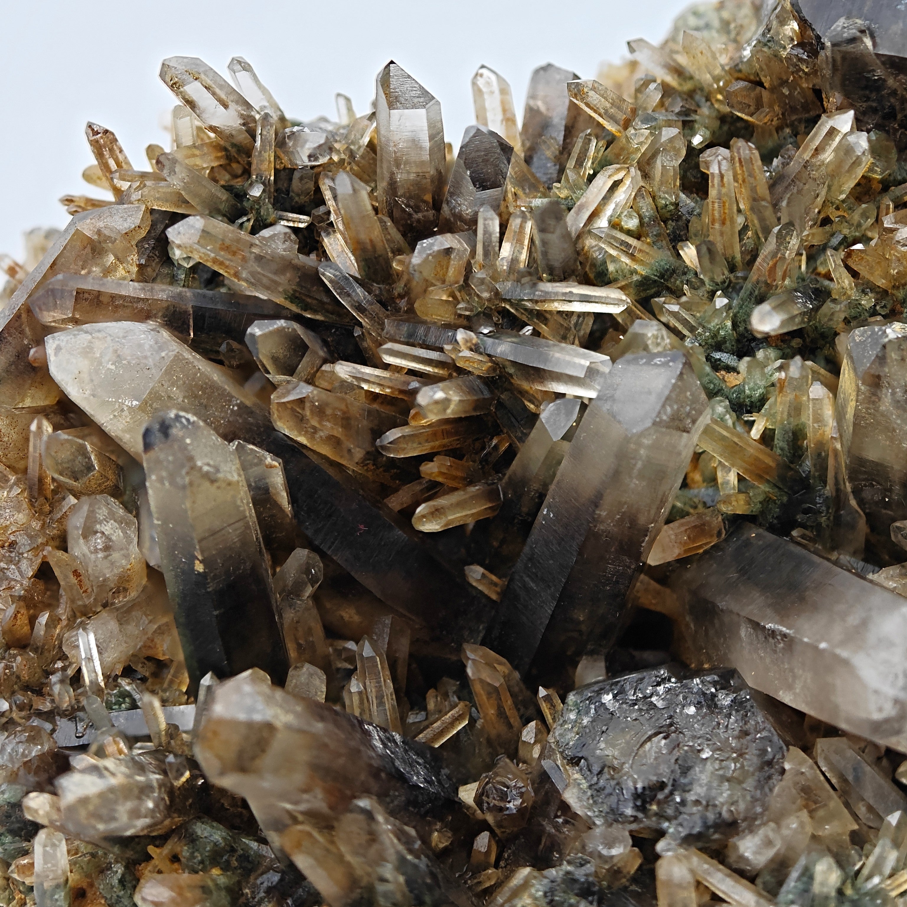 SMOKY QUARTZ – Rare Phantom Cluster with Green Chlorite, Russia