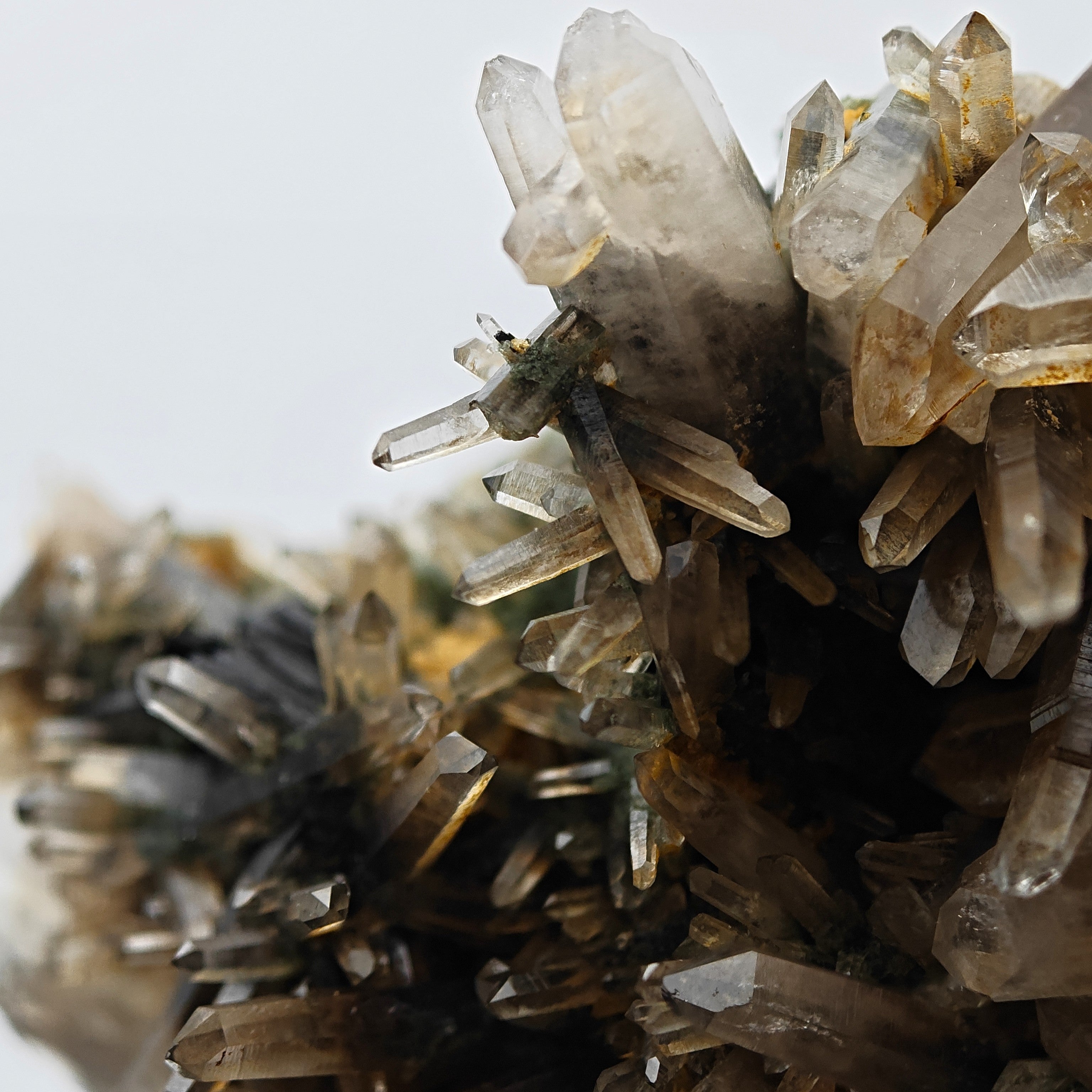 SMOKY QUARTZ – Rare Phantom Cluster with Green Chlorite, Russia