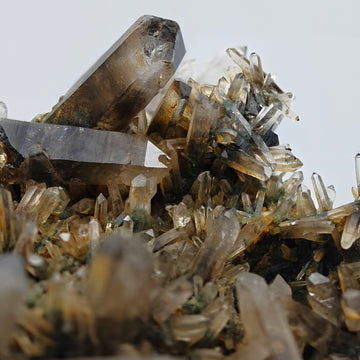 SMOKY QUARTZ – Rare Phantom Cluster with Green Chlorite, Russia