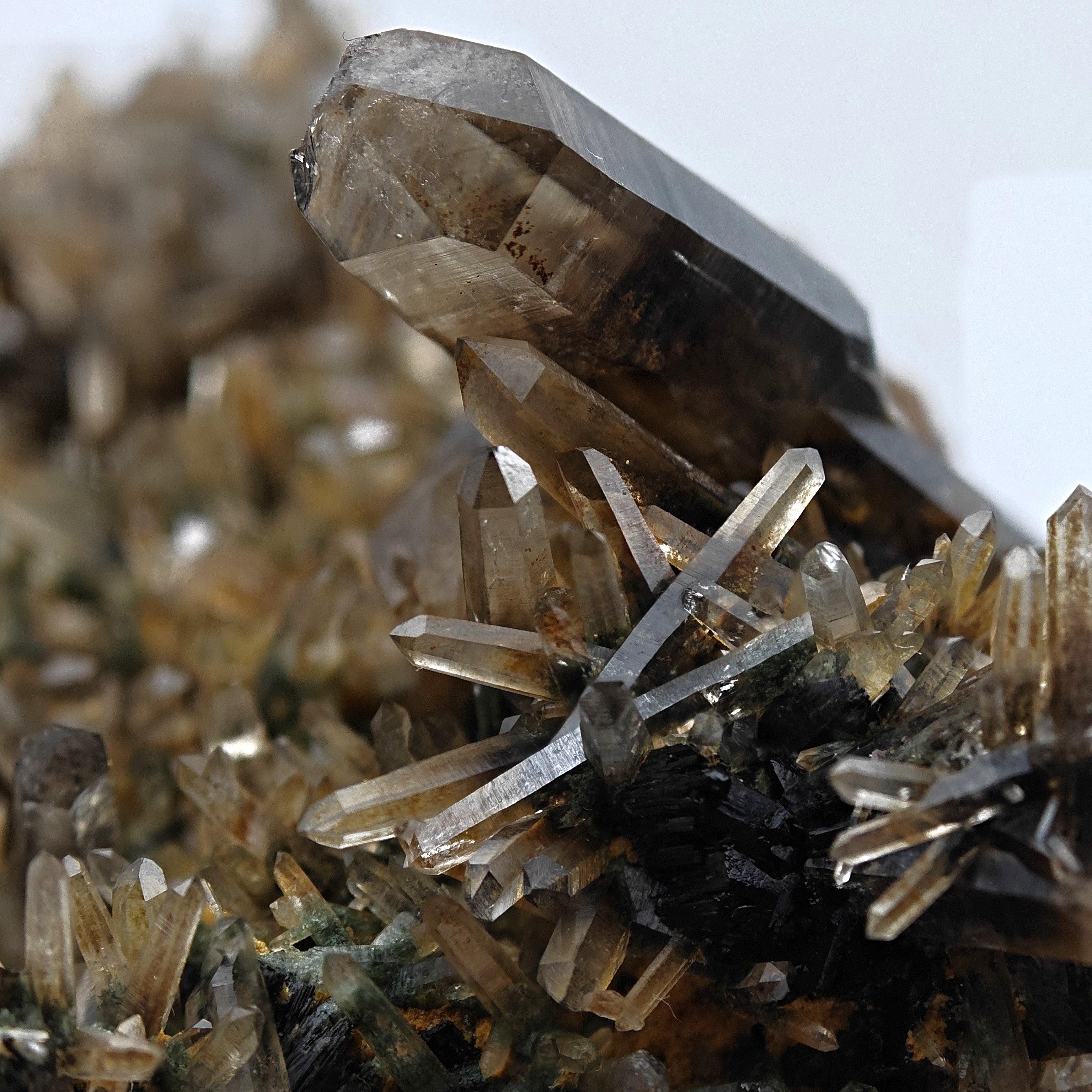 SMOKY QUARTZ – Rare Phantom Cluster with Green Chlorite, Russia