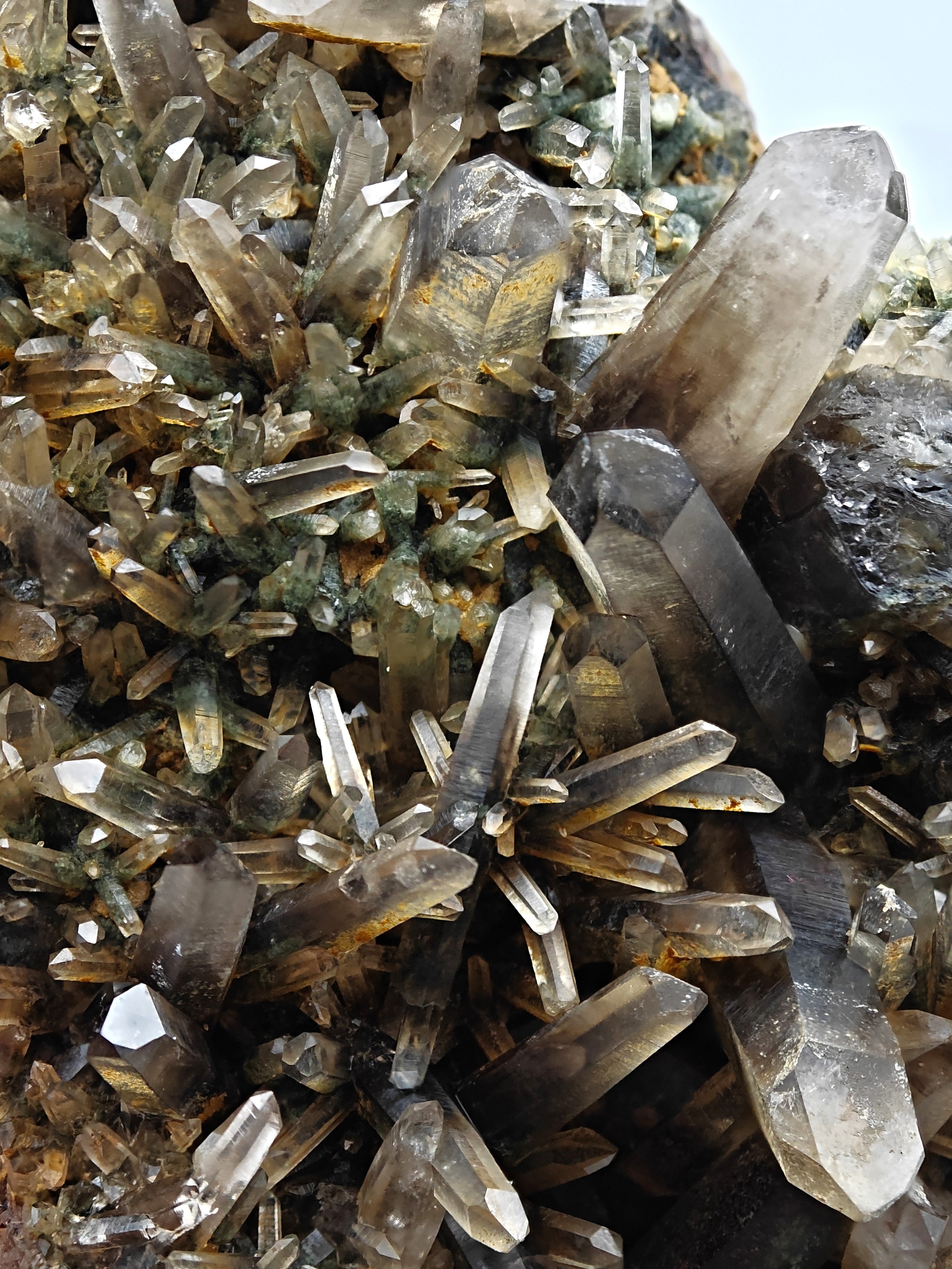 SMOKY QUARTZ – Rare Phantom Cluster with Green Chlorite, Russia