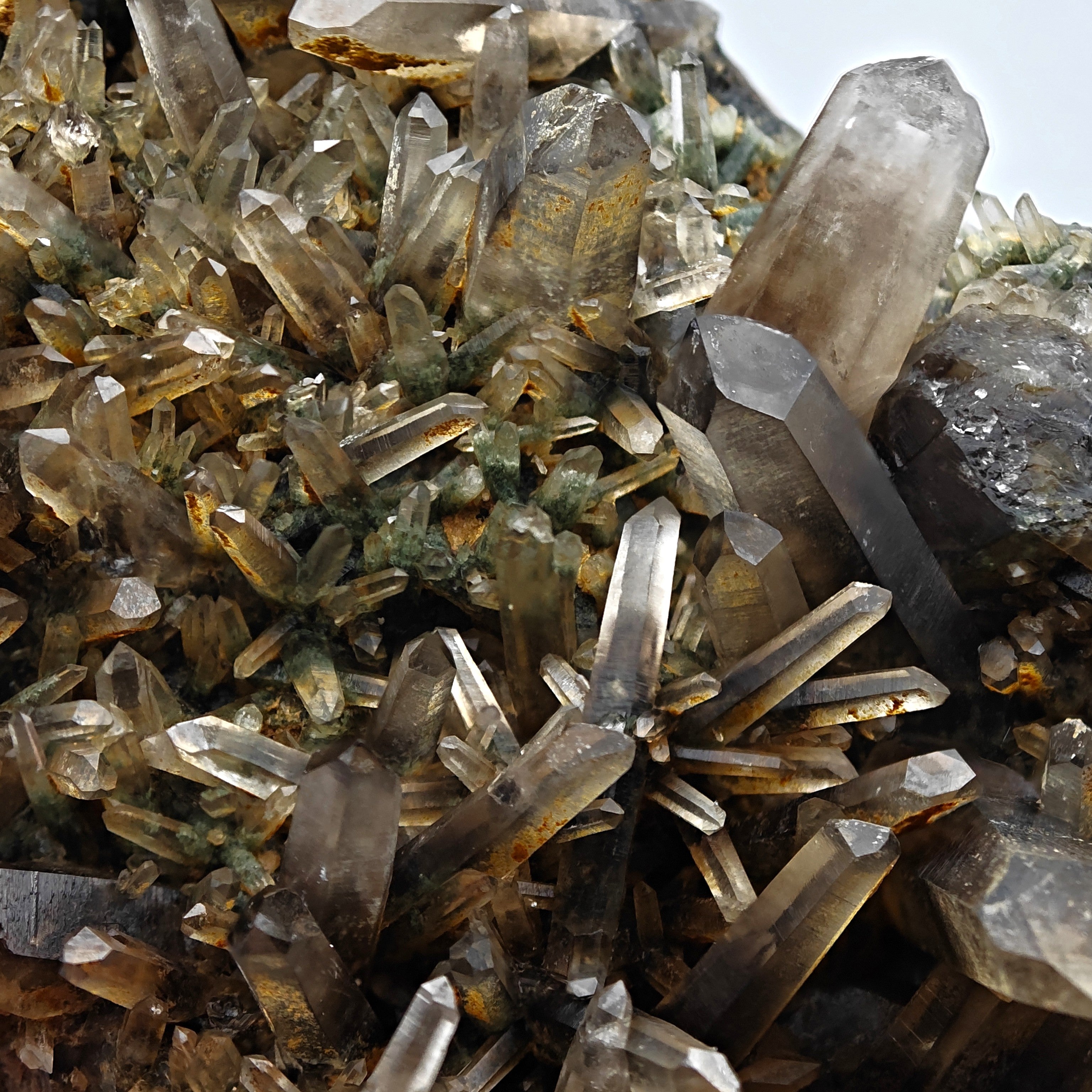SMOKY QUARTZ – Rare Phantom Cluster with Green Chlorite, Russia