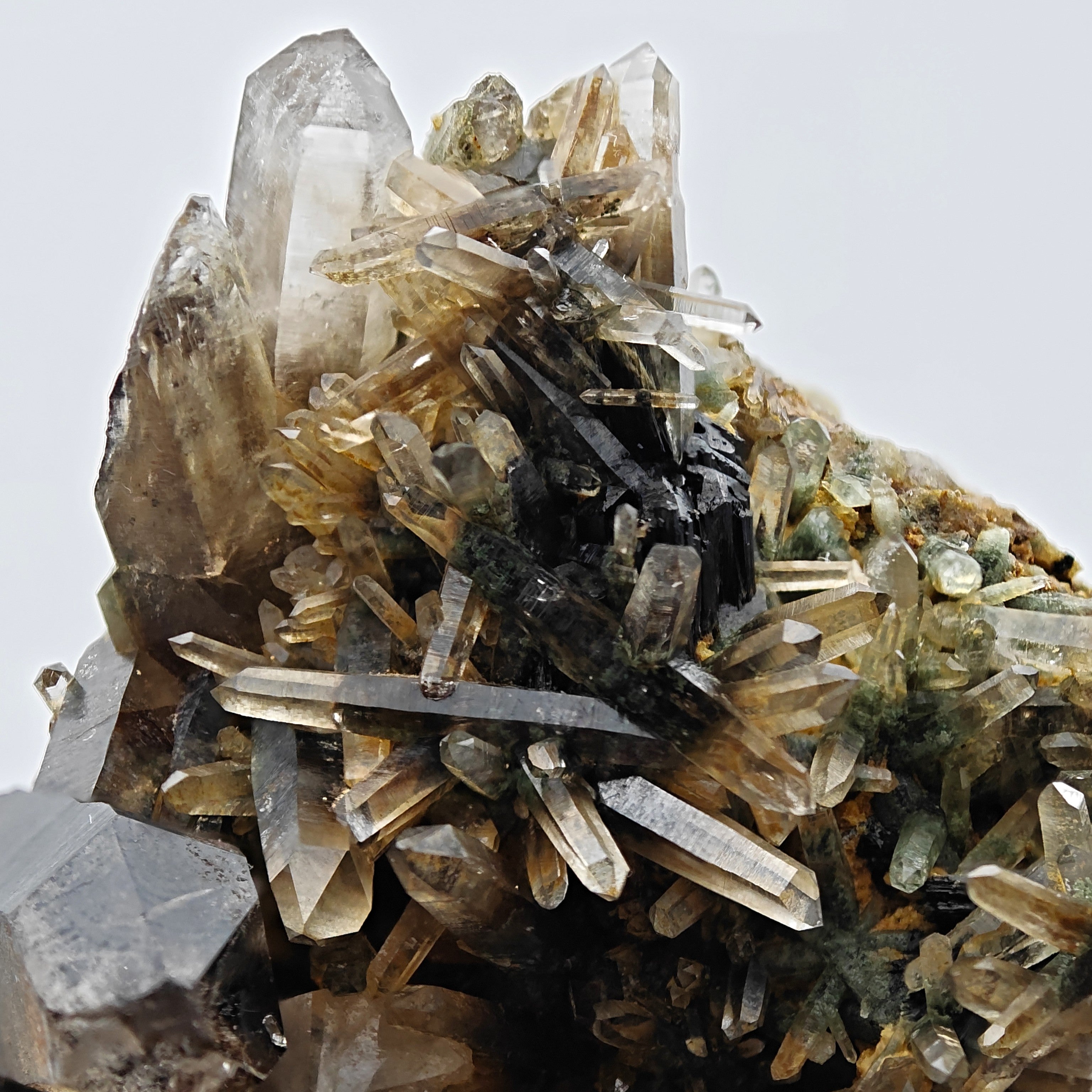 SMOKY QUARTZ – Rare Phantom Cluster with Green Chlorite, Russia