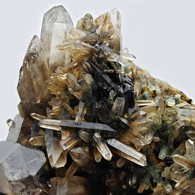 Dark smoky quartz crystal group with chlorite matrix, Berezovo, Russia