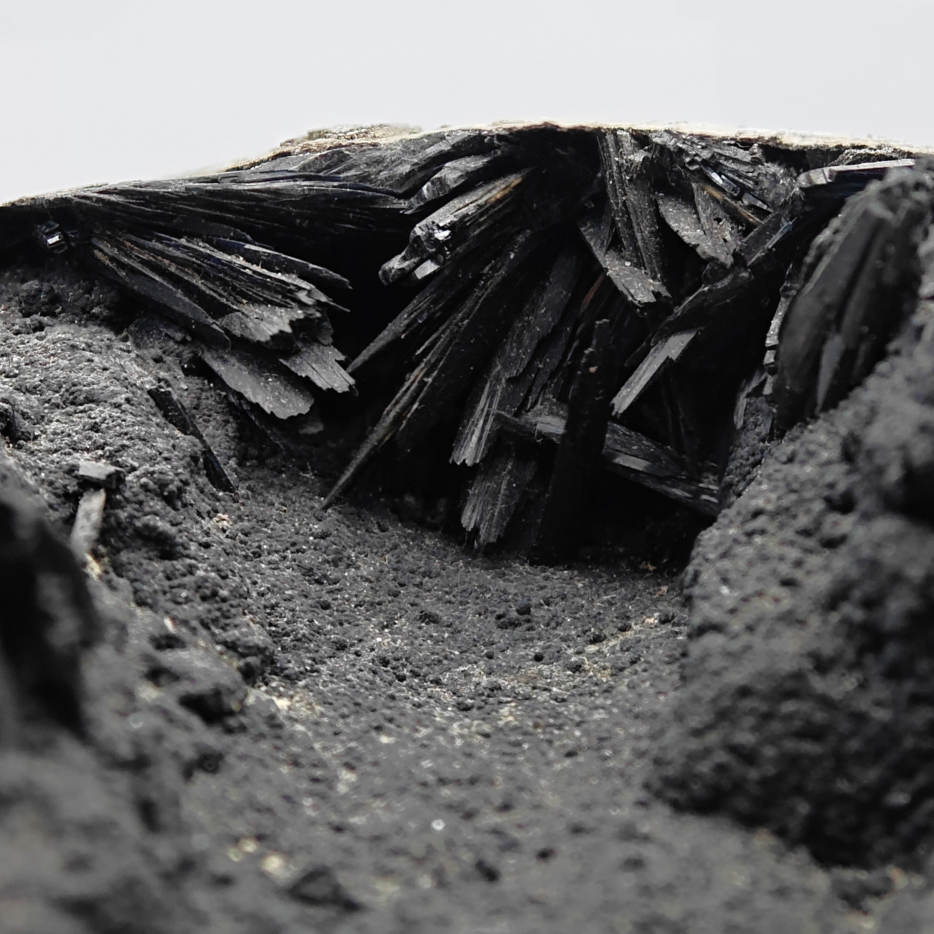 VIVIANITE – Fossilized Shell with Black & Blue Crystals from Kerch, Crimea