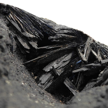 VIVIANITE – Fossilized Shell with Black & Blue Crystals from Kerch, Crimea