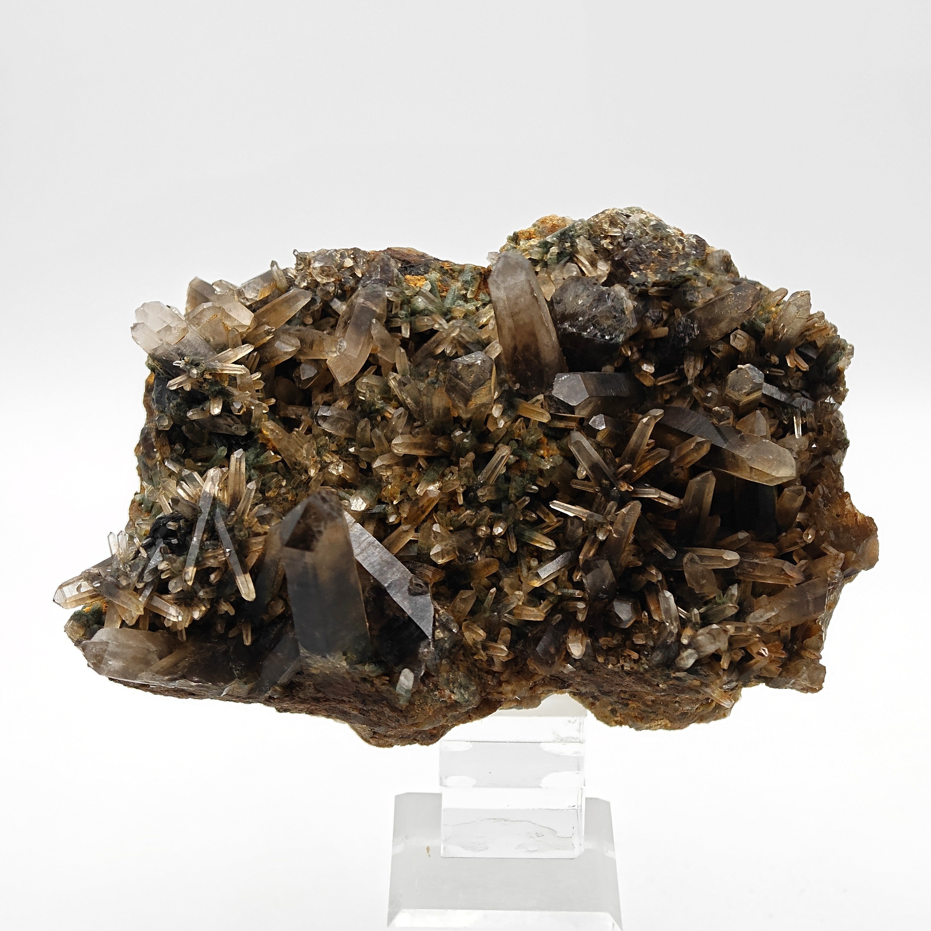 SMOKY QUARTZ – Rare Phantom Cluster with Green Chlorite, Russia