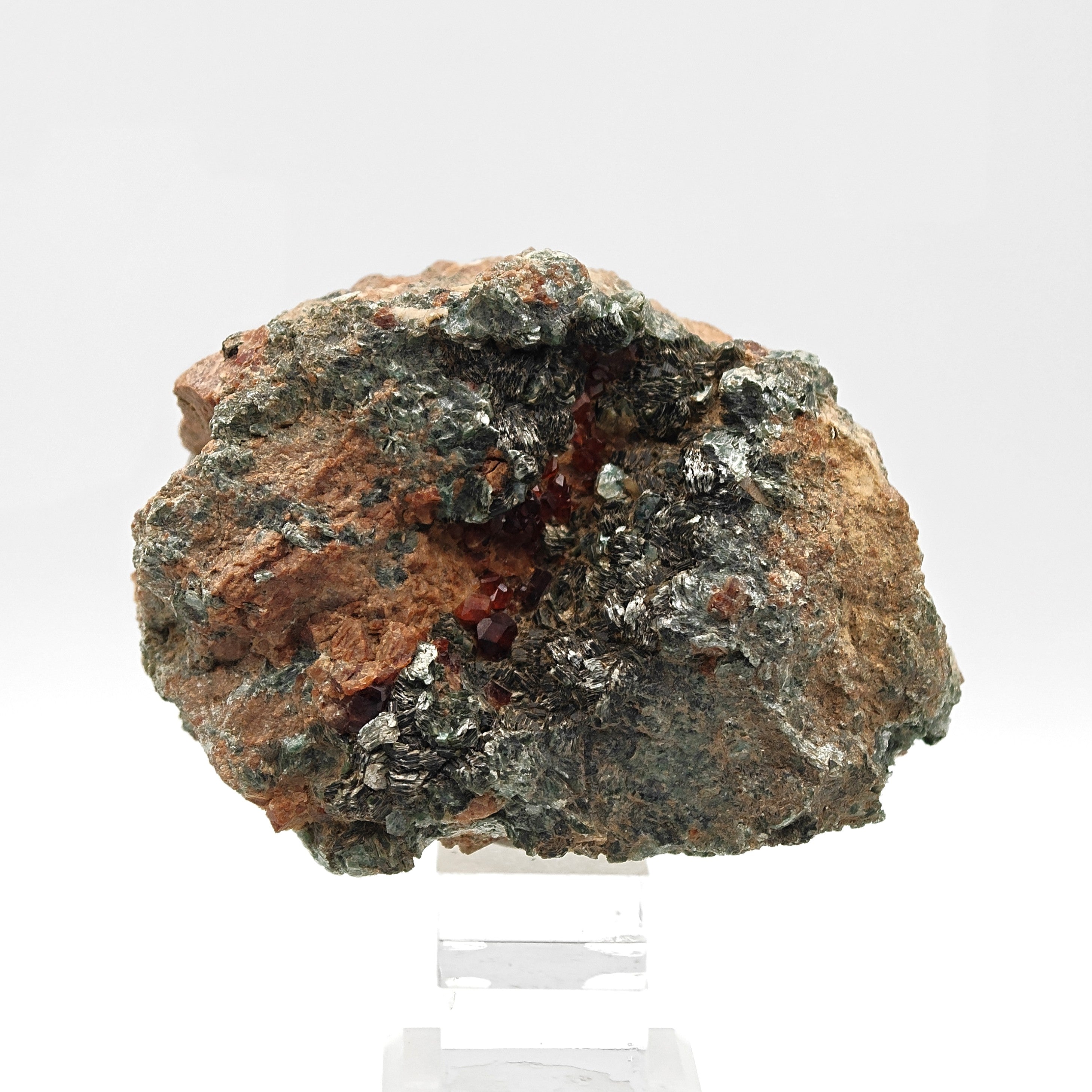 HESSONITE & CLINOCHLORE – Red Garnet Crystals on Green Matrix, Sassello, Italy