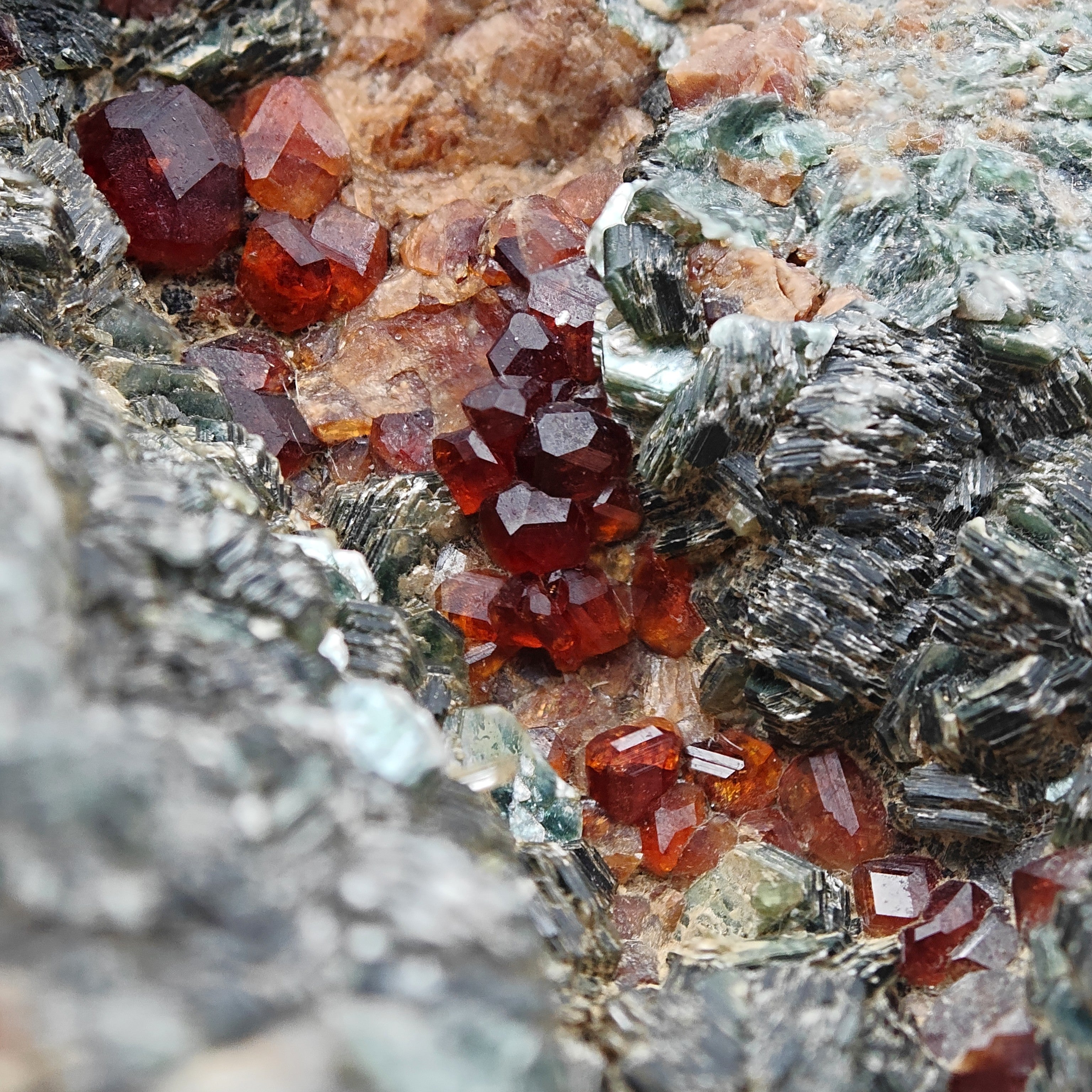 HESSONITE & CLINOCHLORE – Red Garnet Crystals on Green Matrix, Sassello, Italy
