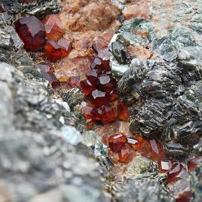 Detail of lustrous Hessonite garnet crystals with green Clinochlore, Sassello
