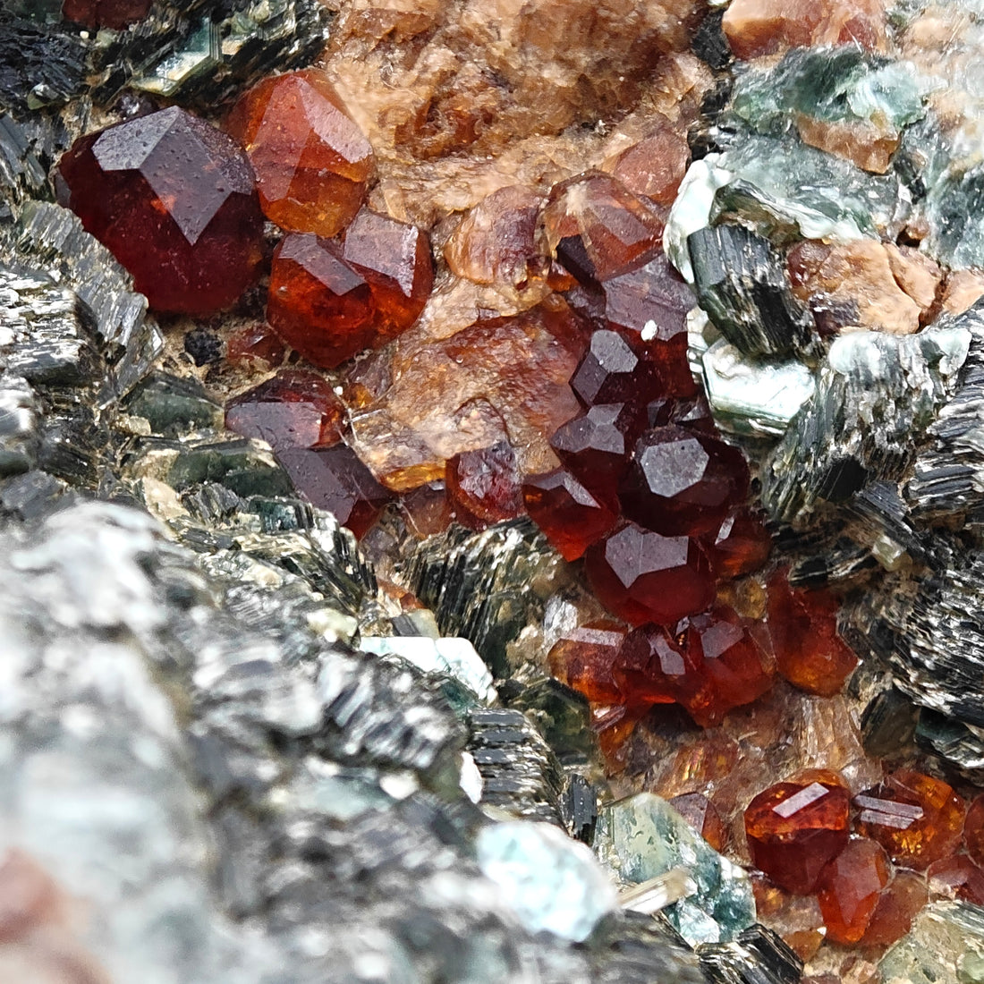 HESSONITE & CLINOCHLORE – Red Garnet Crystals on Green Matrix, Sassello, Italy