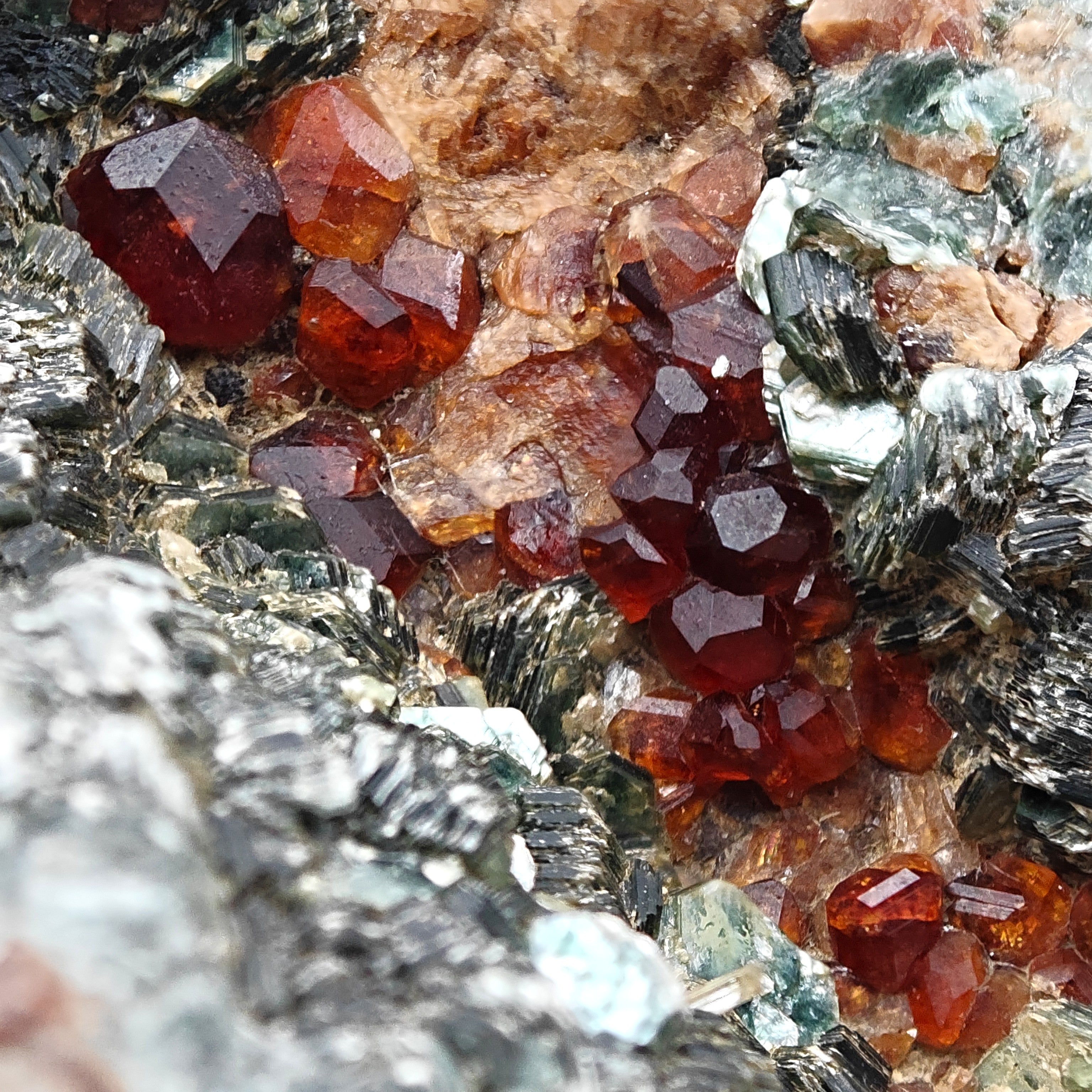 HESSONITE & CLINOCHLORE – Red Garnet Crystals on Green Matrix, Sassello, Italy