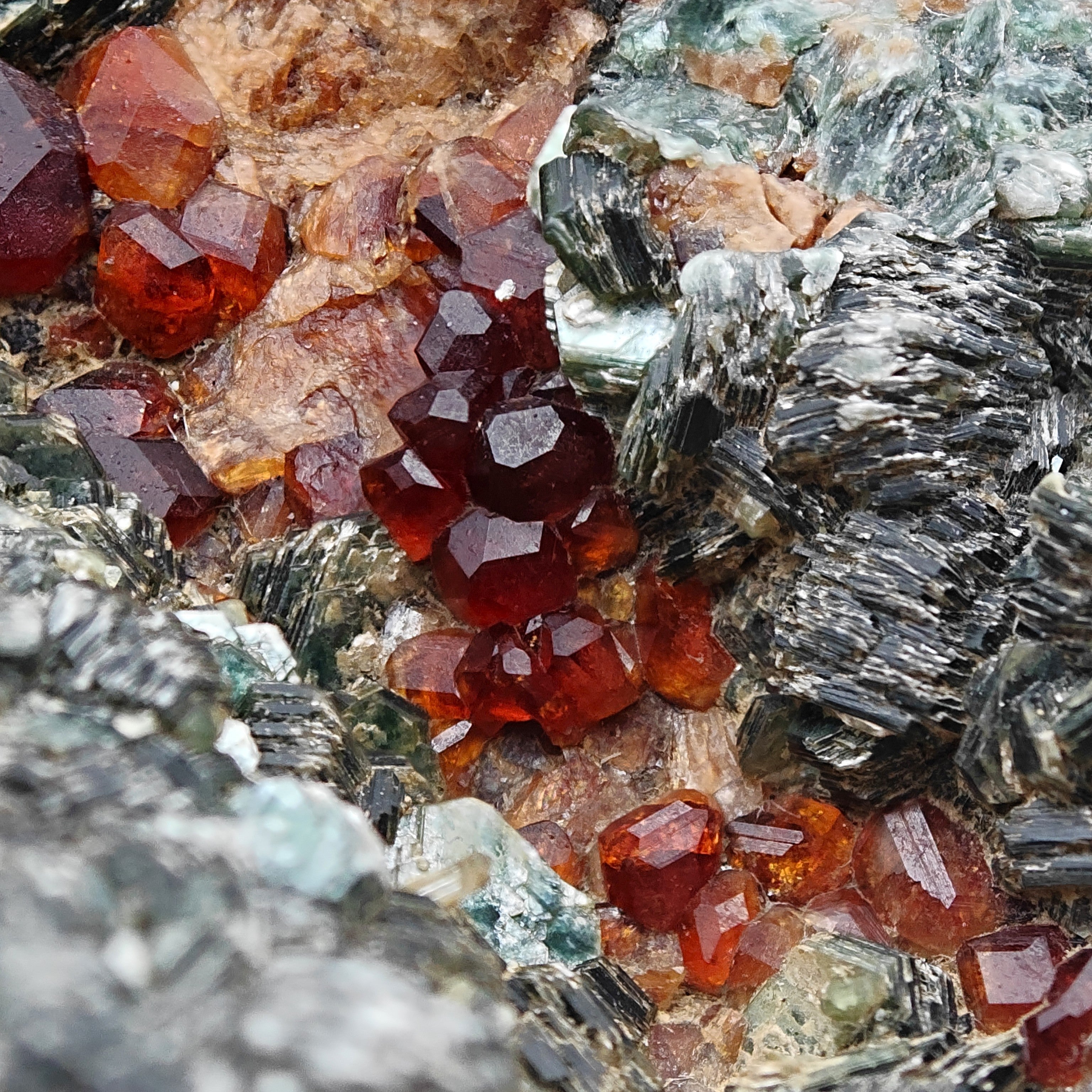 HESSONITE & CLINOCHLORE – Red Garnet Crystals on Green Matrix, Sassello, Italy