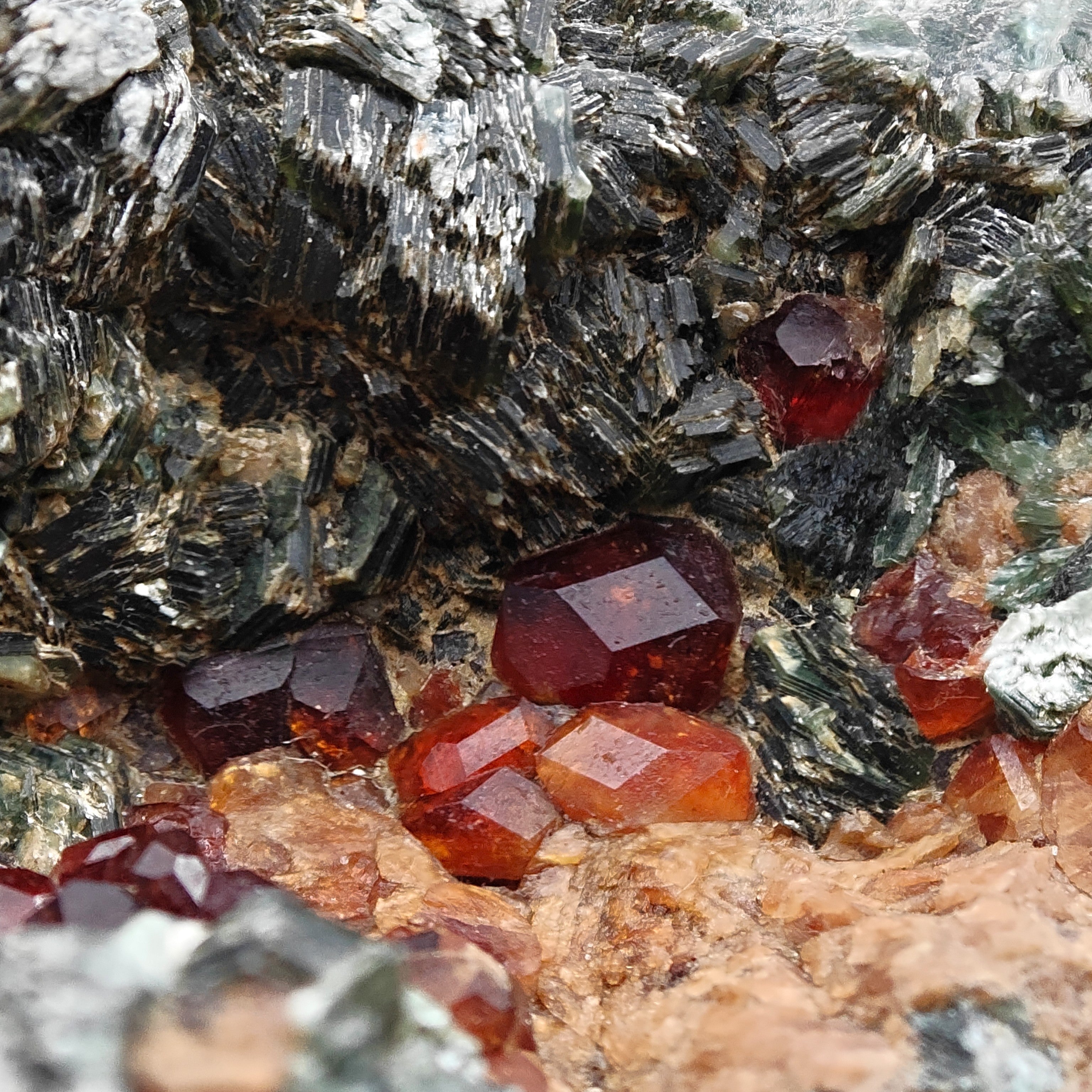 HESSONITE & CLINOCHLORE – Red Garnet Crystals on Green Matrix, Sassello, Italy