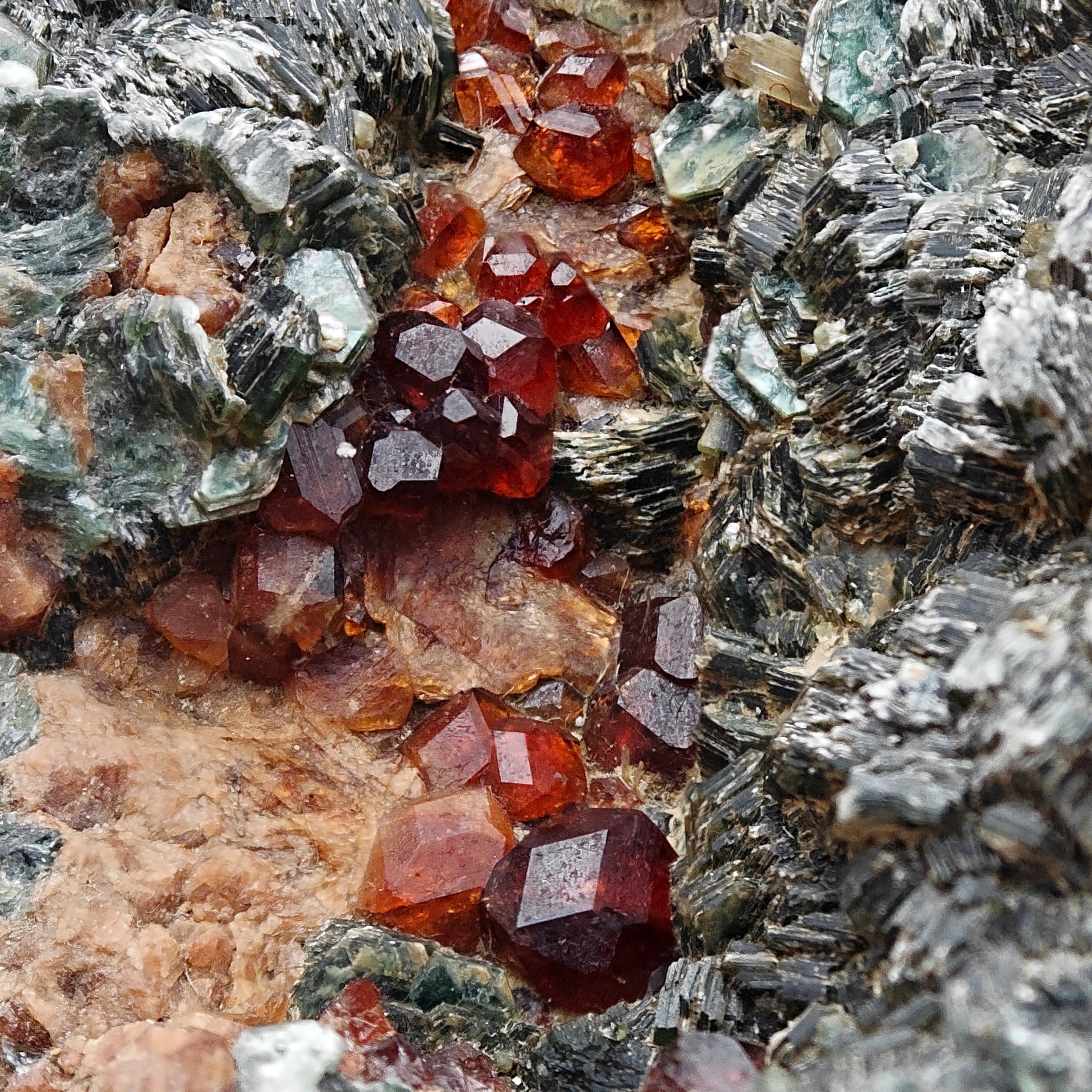 HESSONITE & CLINOCHLORE – Red Garnet Crystals on Green Matrix, Sassello, Italy