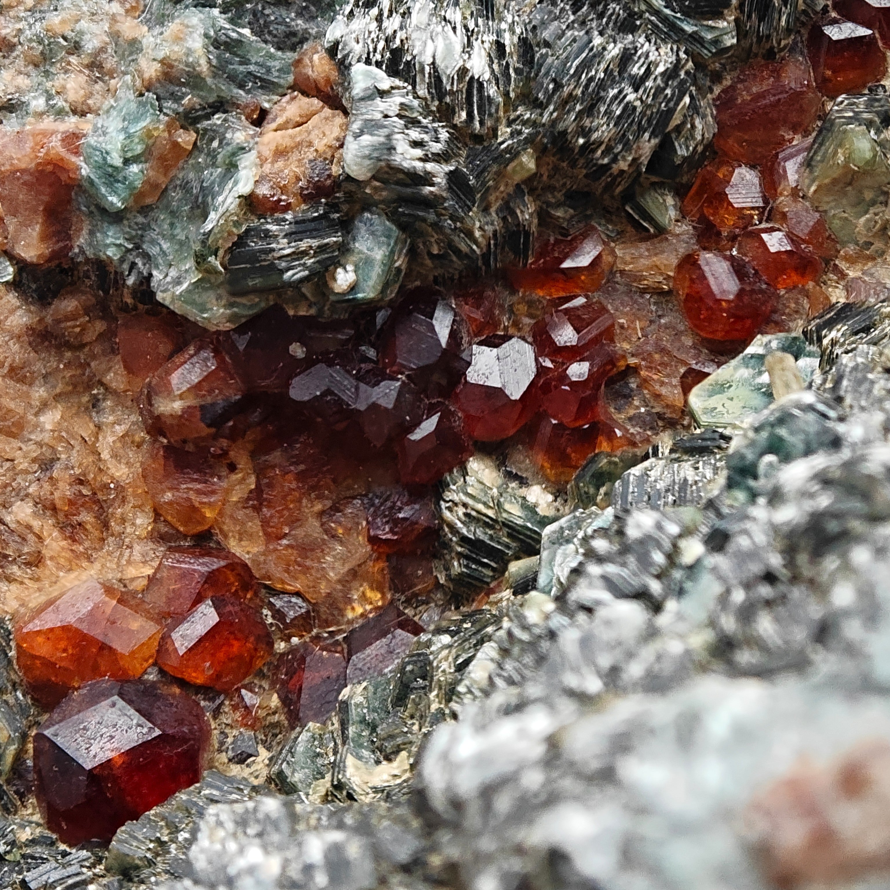 HESSONITE & CLINOCHLORE – Red Garnet Crystals on Green Matrix, Sassello, Italy