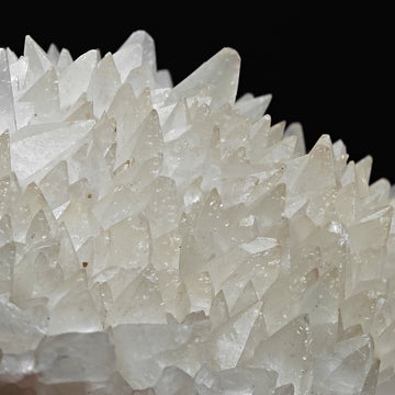 CALCITE – Dogtooth Scalenohedral Crystals, Gola del Furlo, Marche, Italy