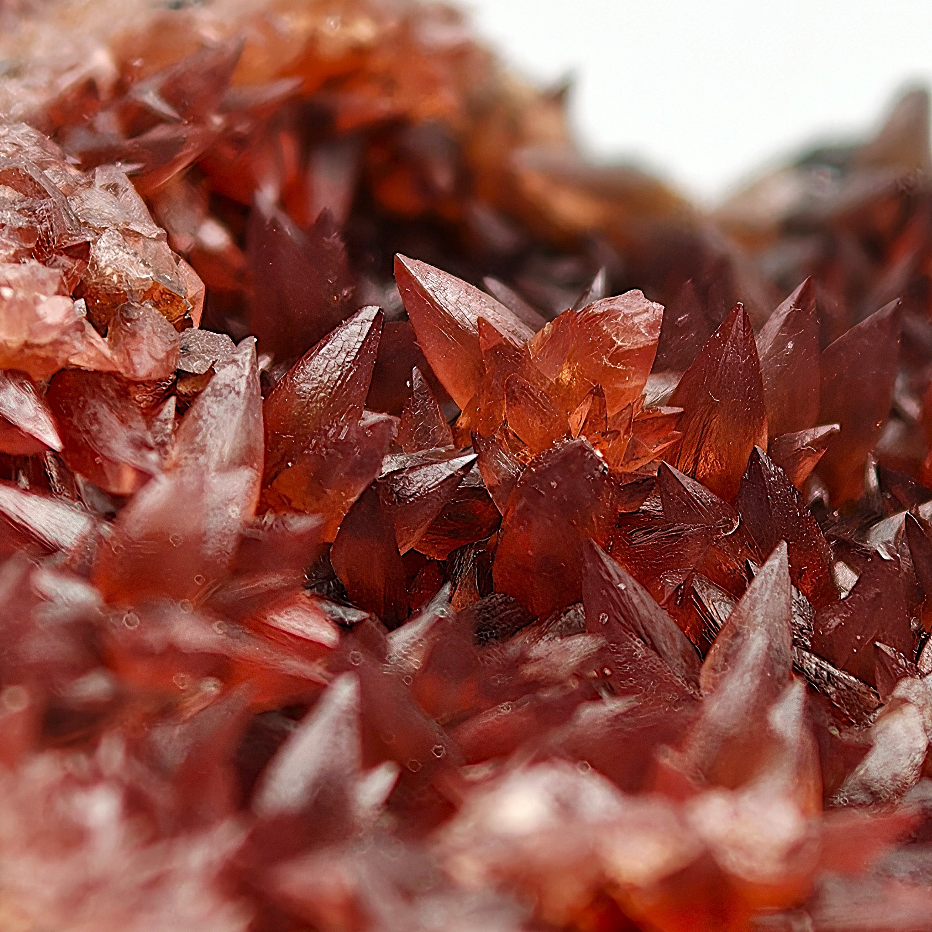 RHODOCHROSITE – Deep Red Scalenohedral Crystal Geode, Moanda Mine, Gabon